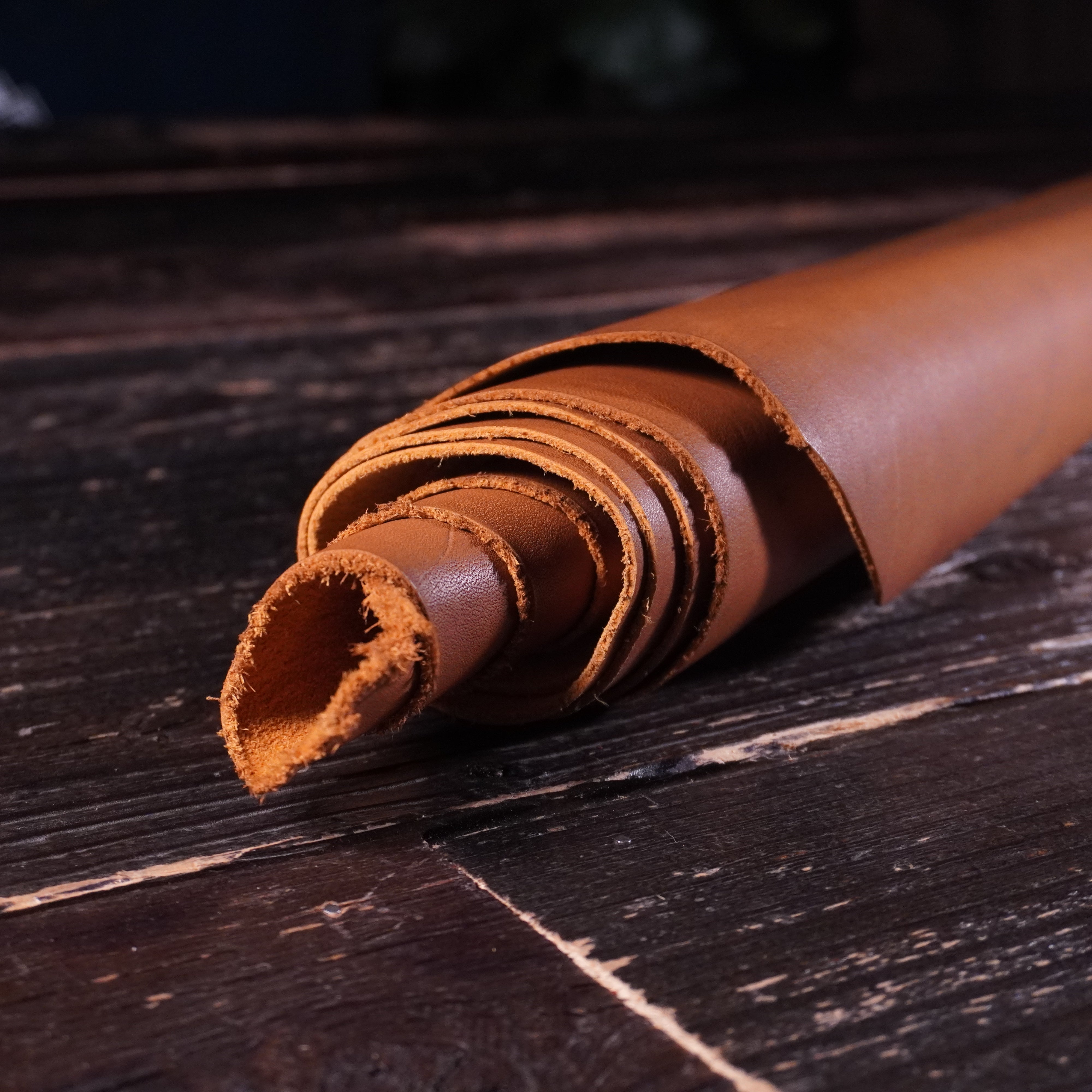 Lefarc - Cougar Miel Nº.21