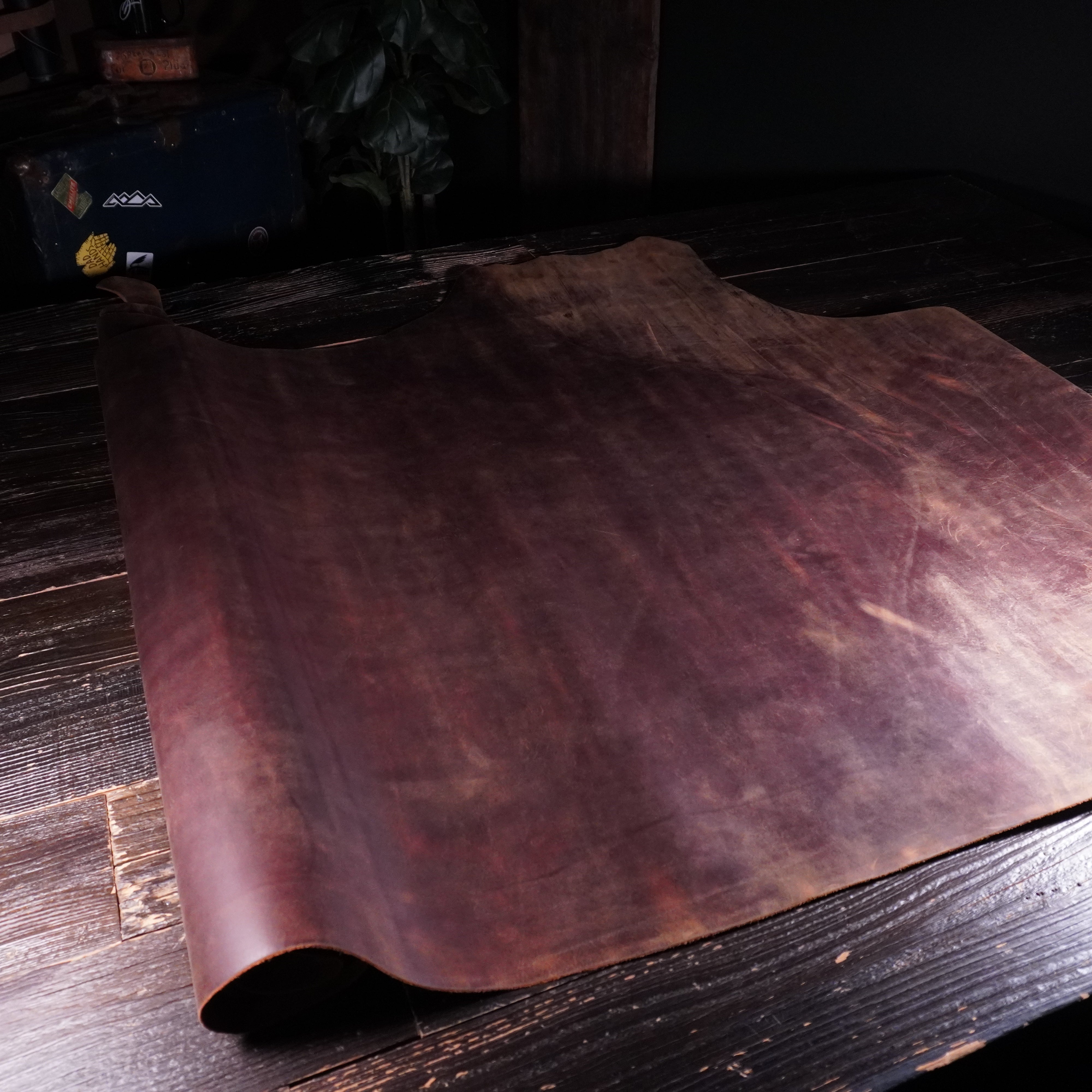 Sepici - York Hydro Saddle Nº.1