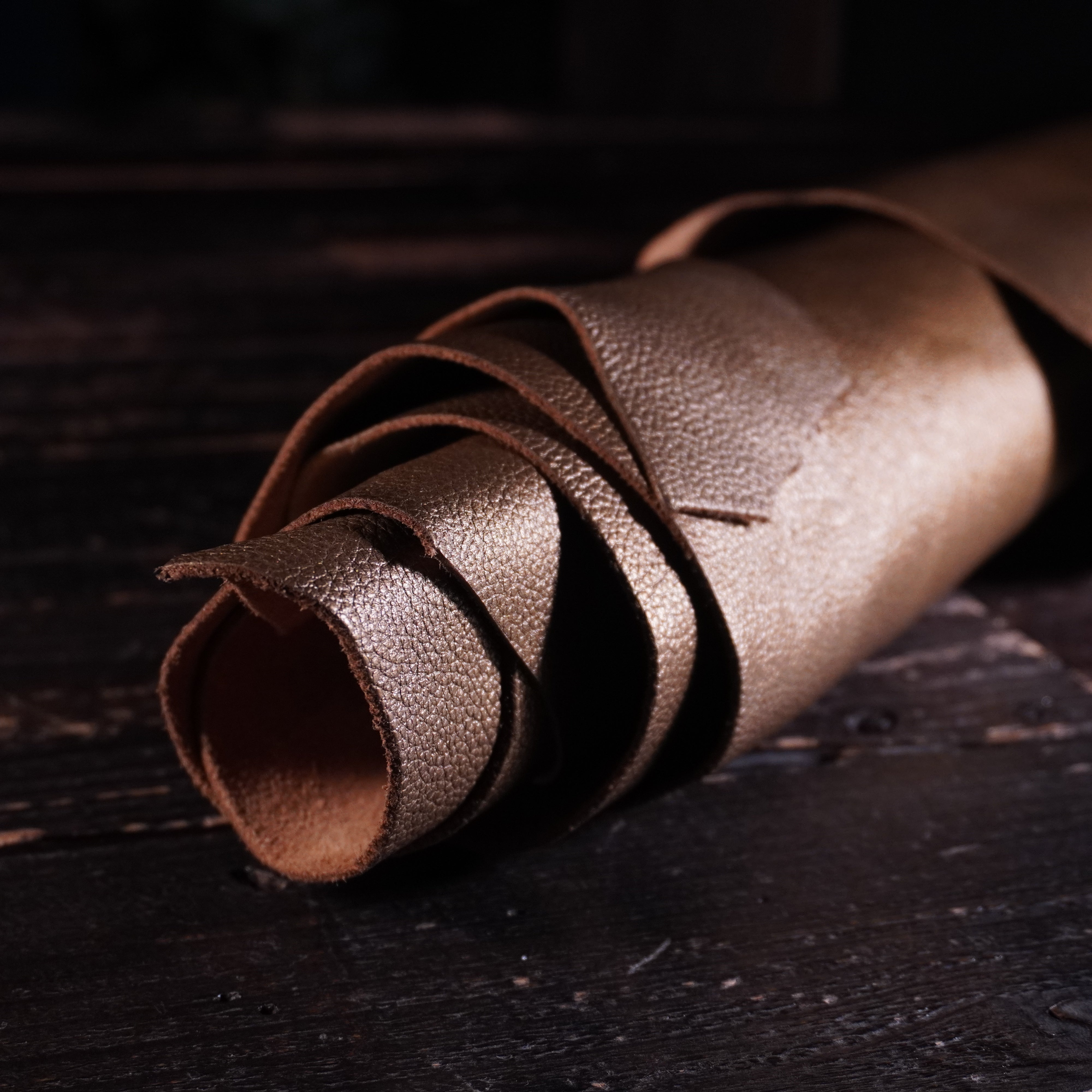 Lefarc - Baby Rhino Meta Mesta Nº.19