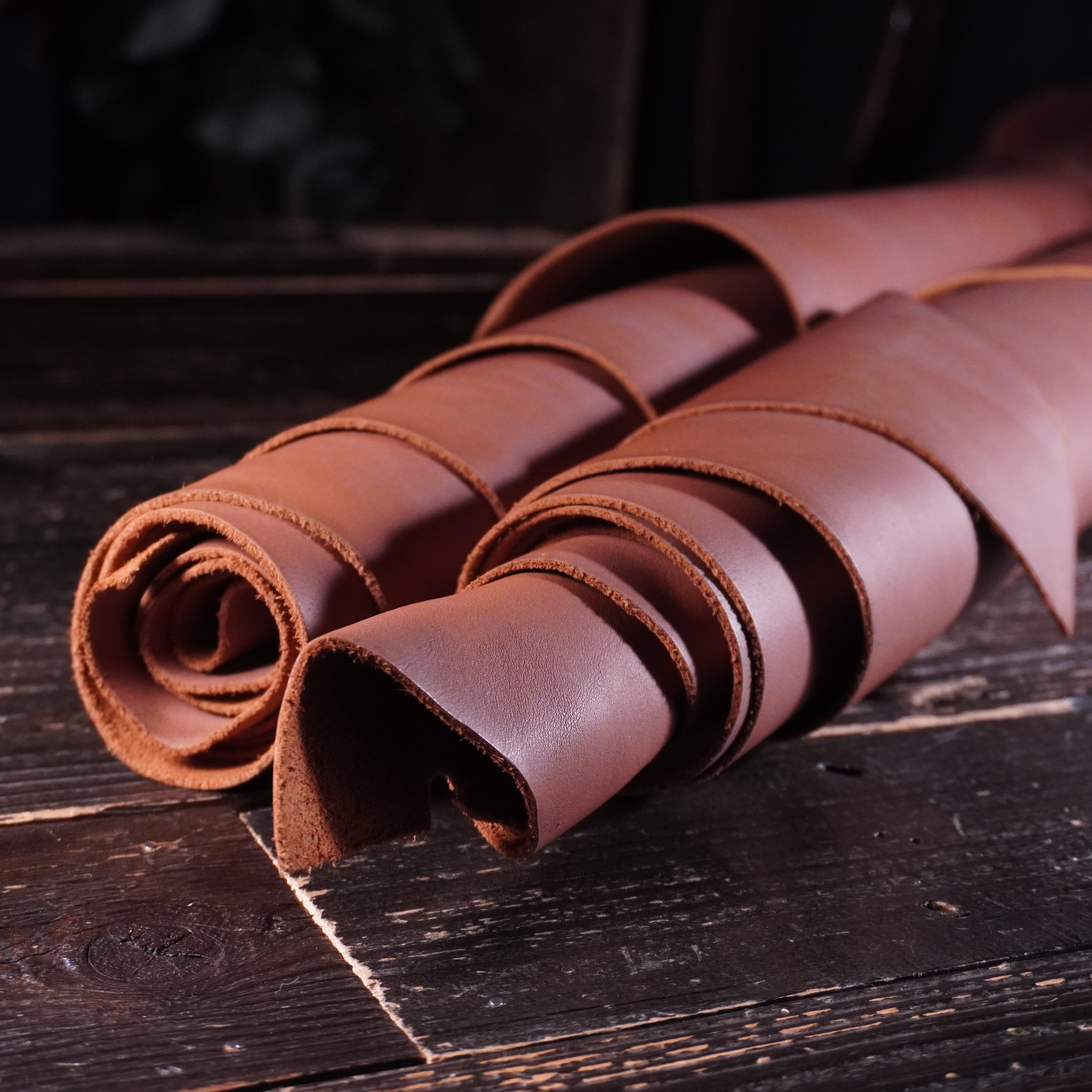 Tasman - Redbrick Brown Nº.13