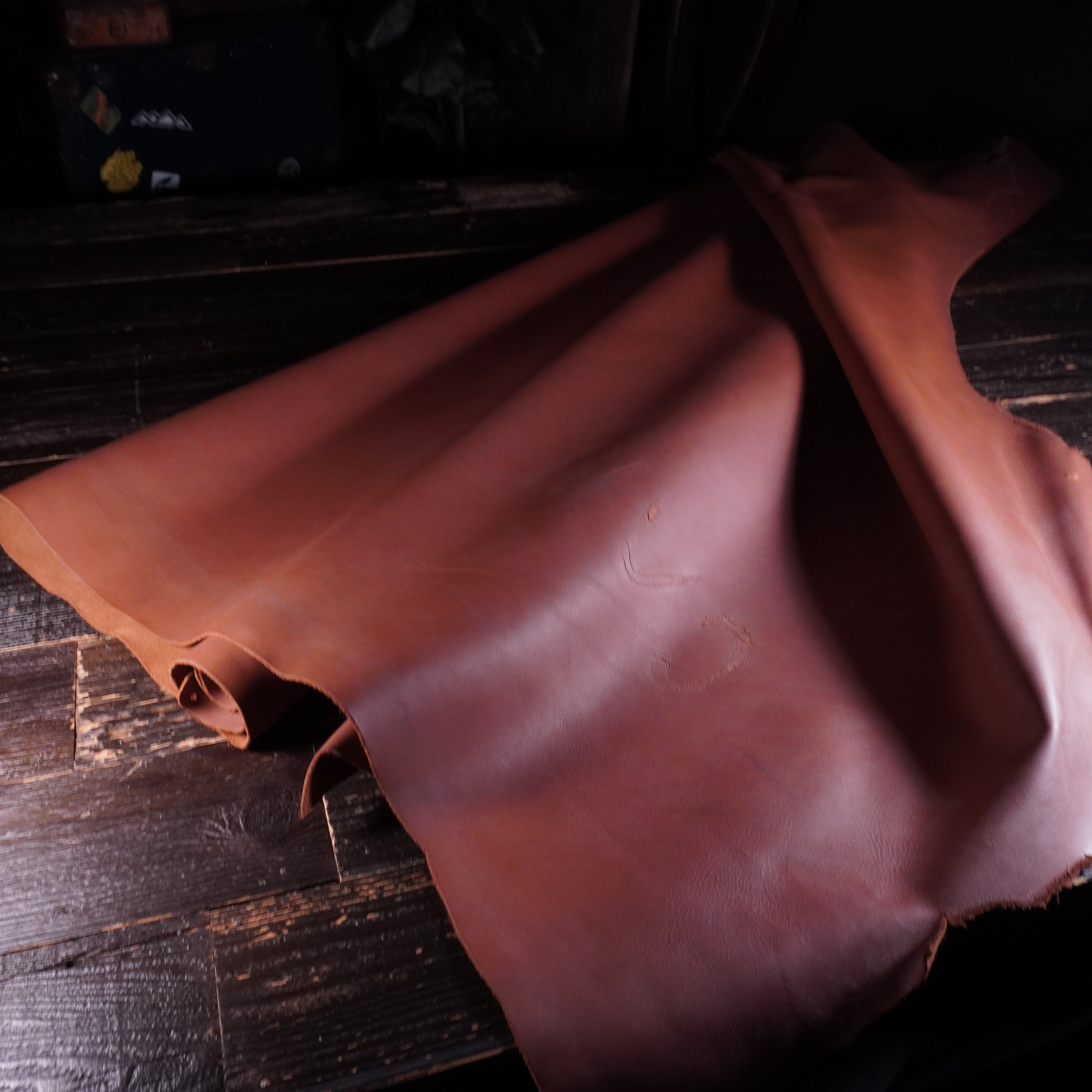 Tasman - Redbrick Brown Nº.13