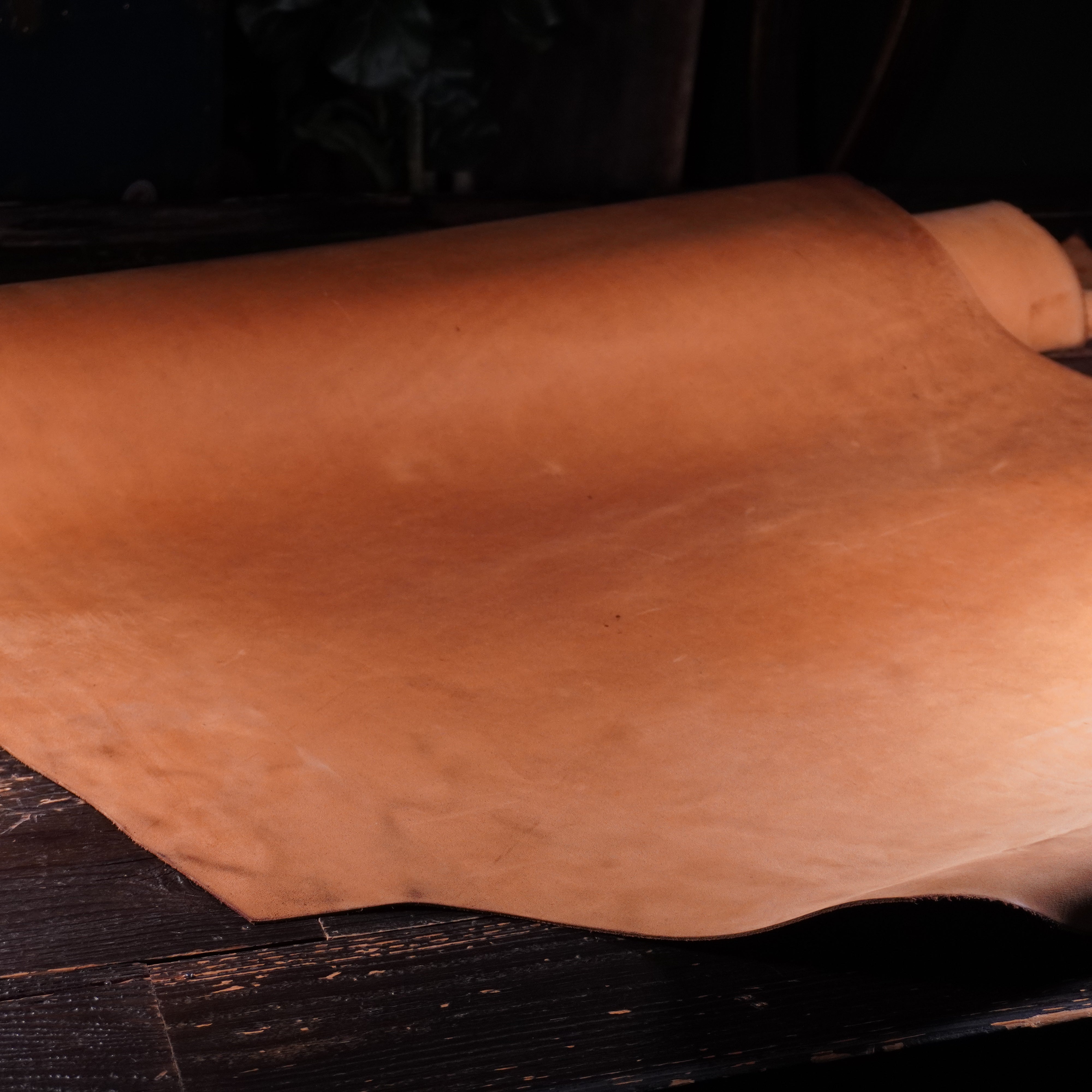 Horween - Micro Suede Nº.24