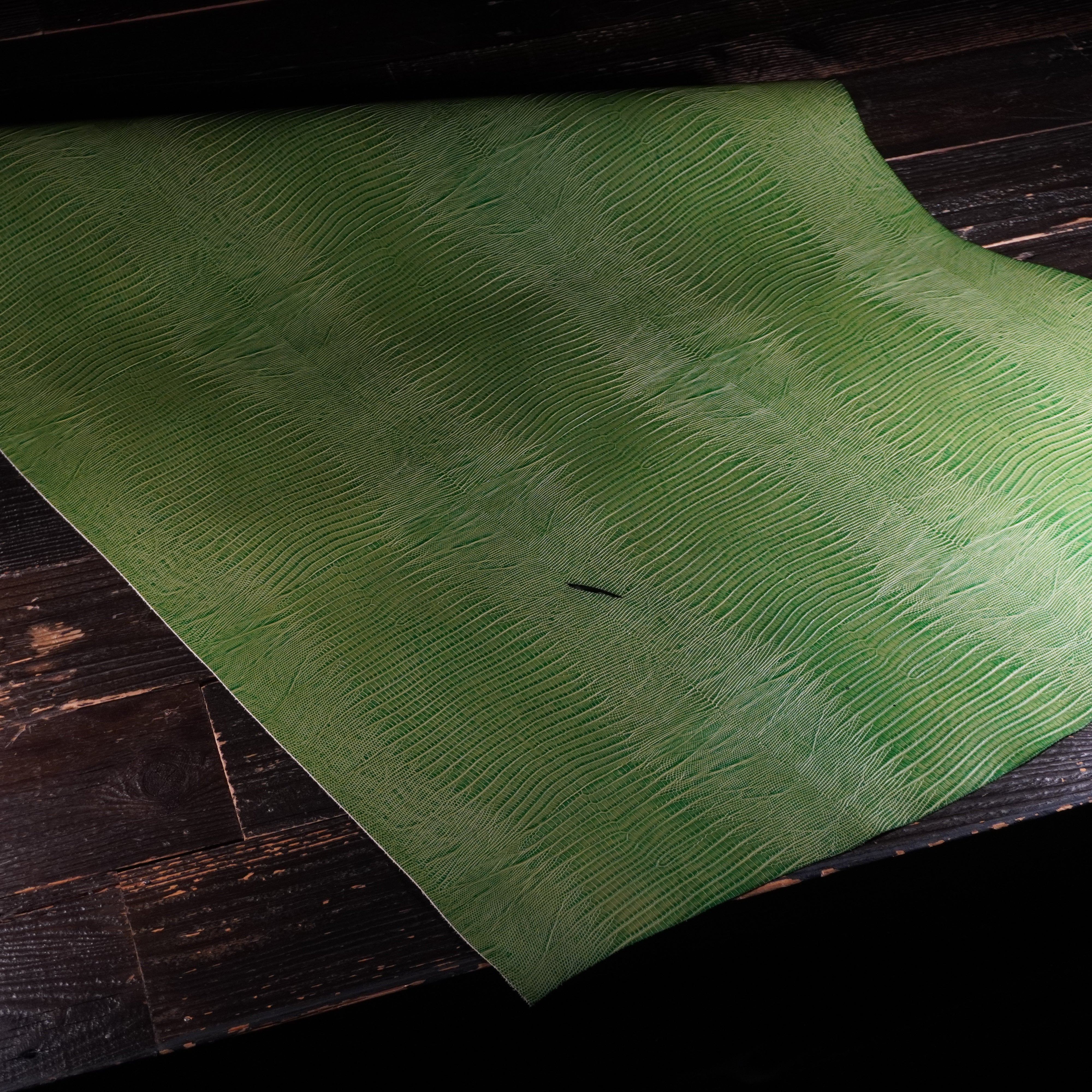 Virgillio - Green Crocodile Embossed Nº.20