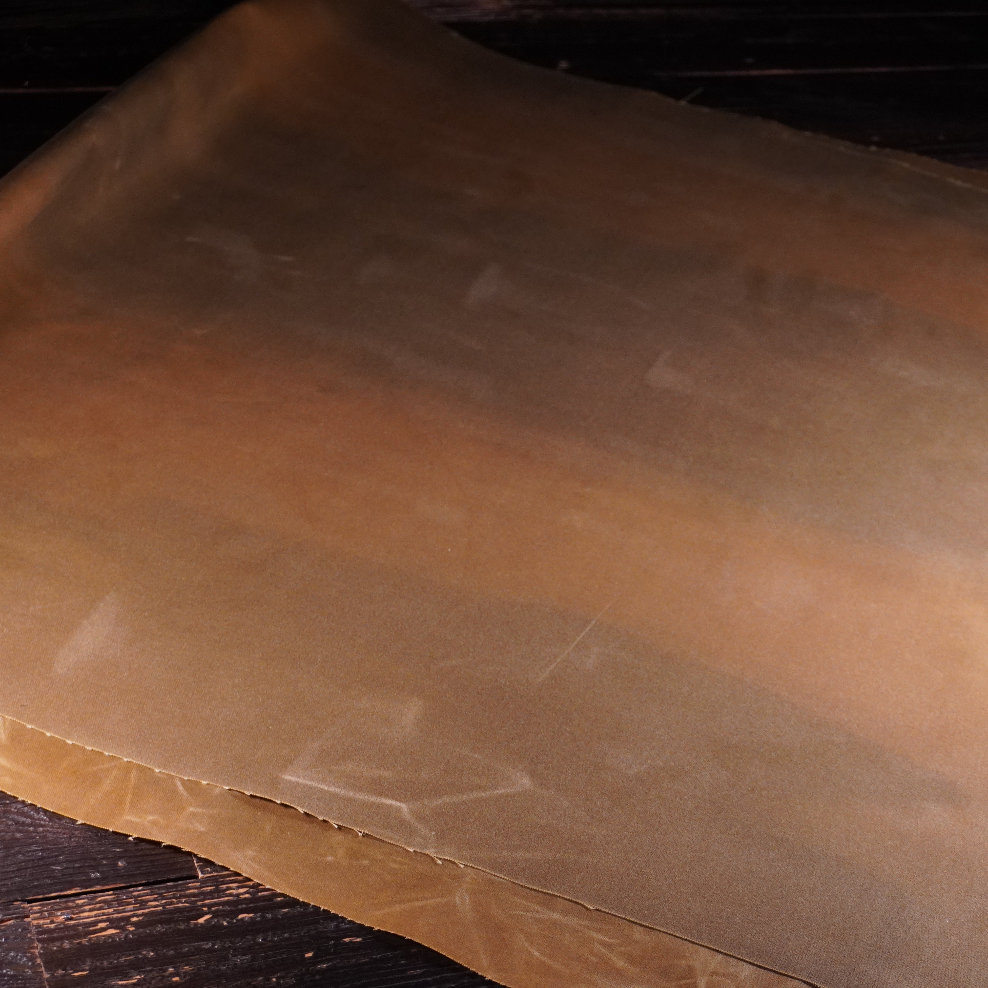 Halley Stevenson - Waxed Canvas Nº.11