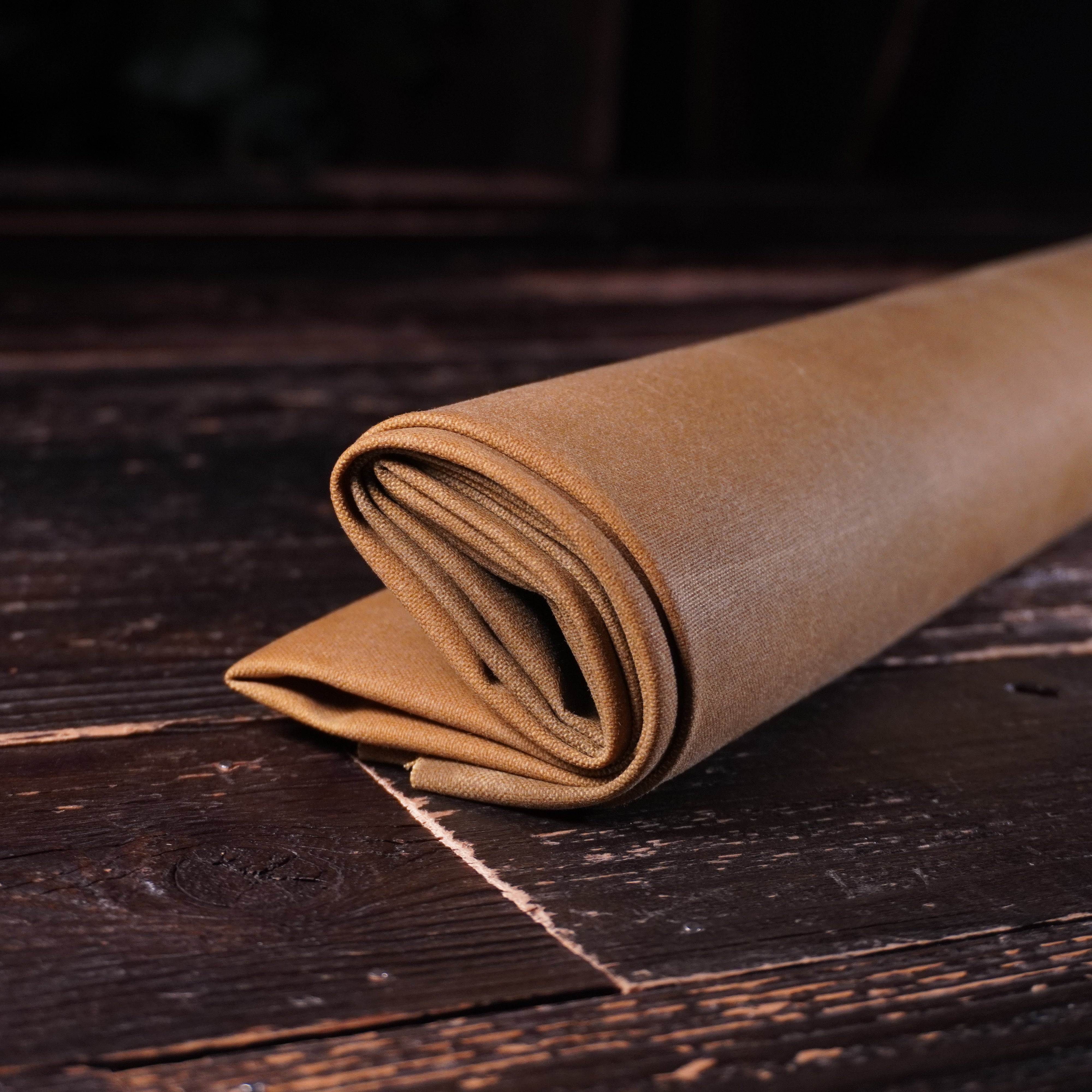 Halley Stevenson - Waxed Canvas Nº.12