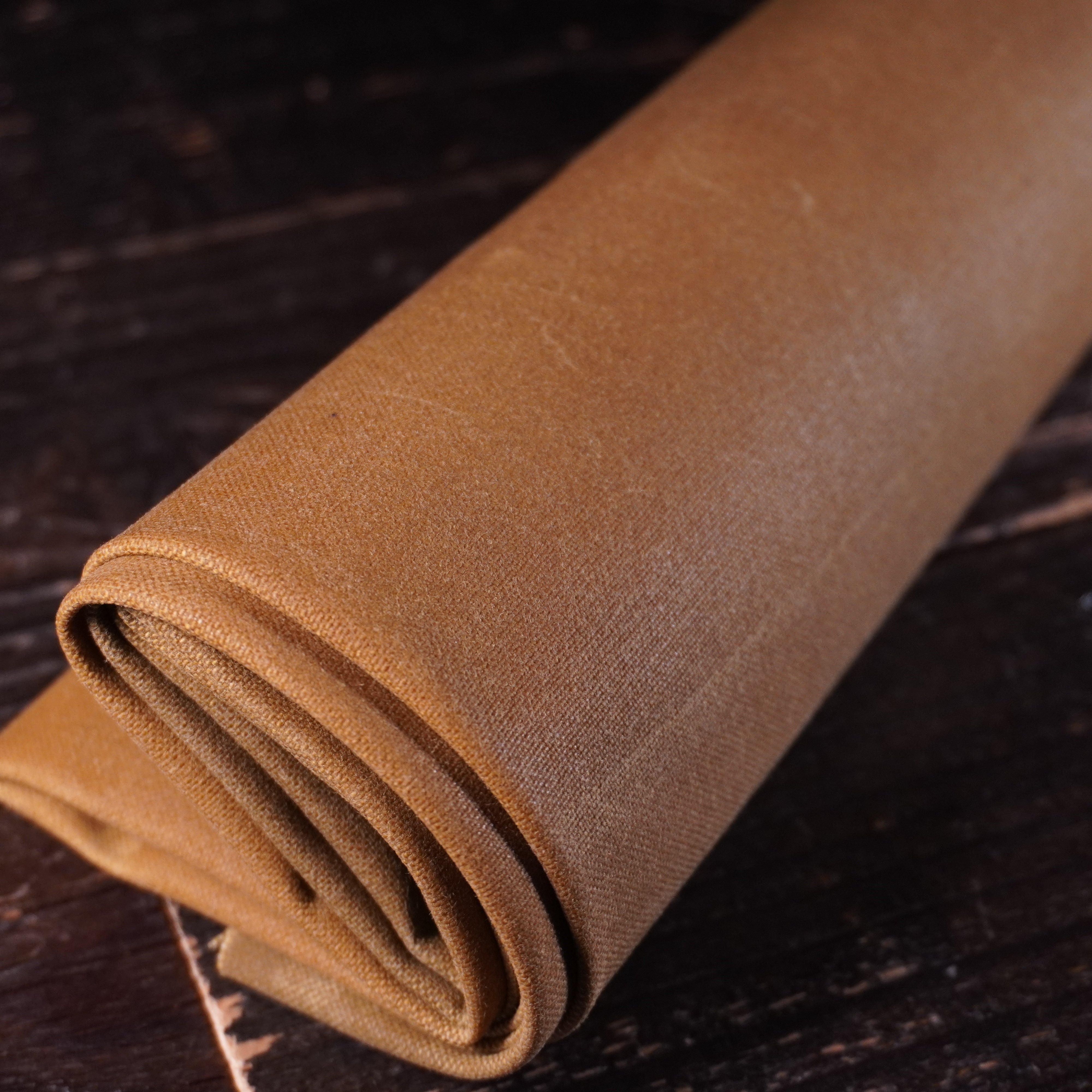 Halley Stevenson - Waxed Canvas Nº.12