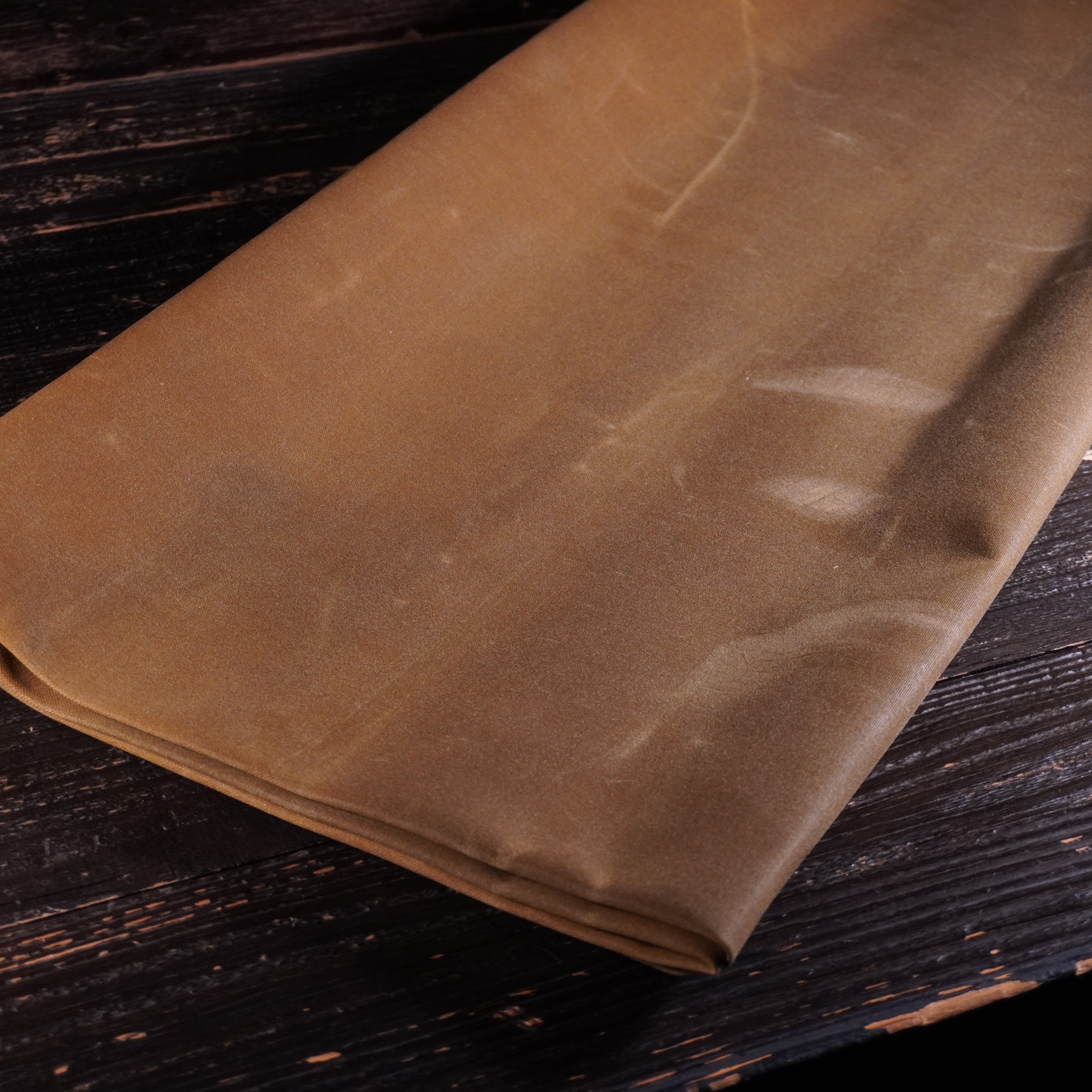 Halley Stevenson - Waxed Canvas Nº.12