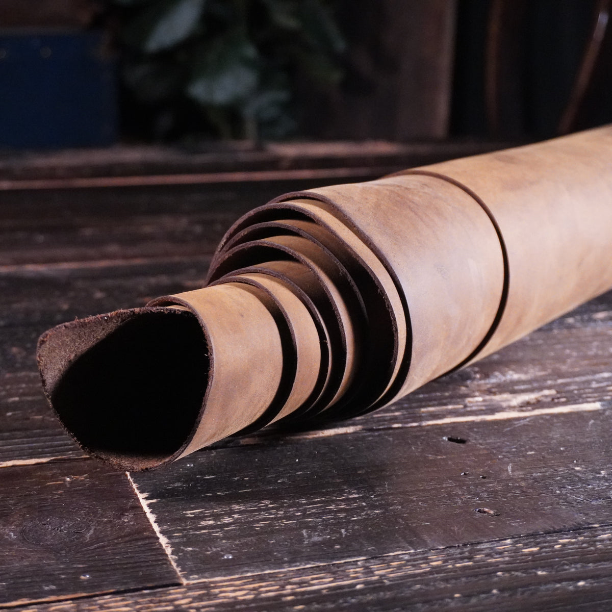 Horween - Spindal Newbuck Nº.11