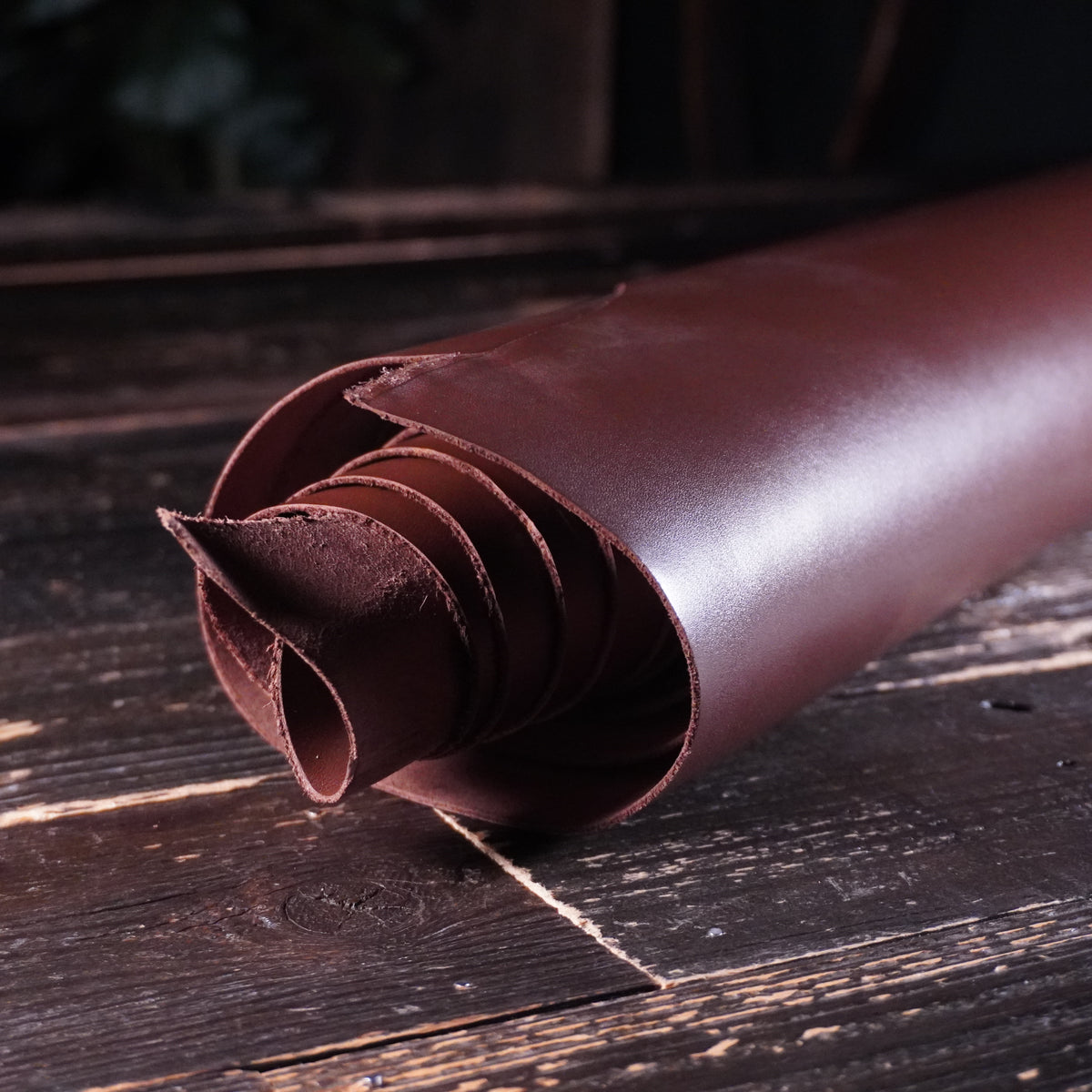 Sepici - Kanat Dark Brown Nº.20