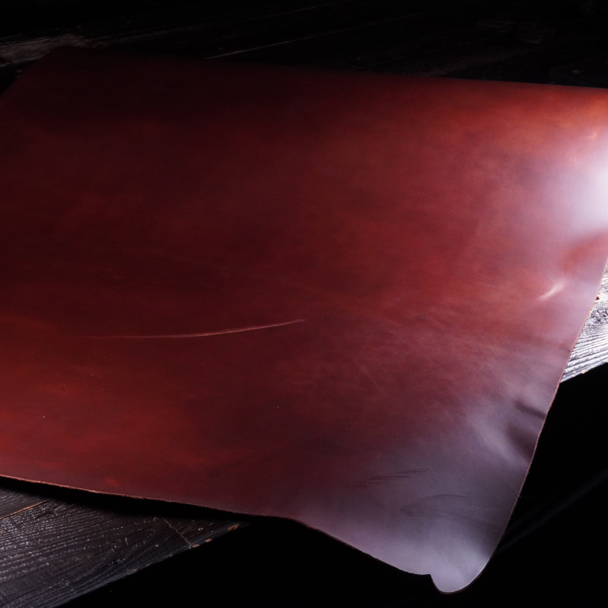 Sepici - Brown Bend Nº.15