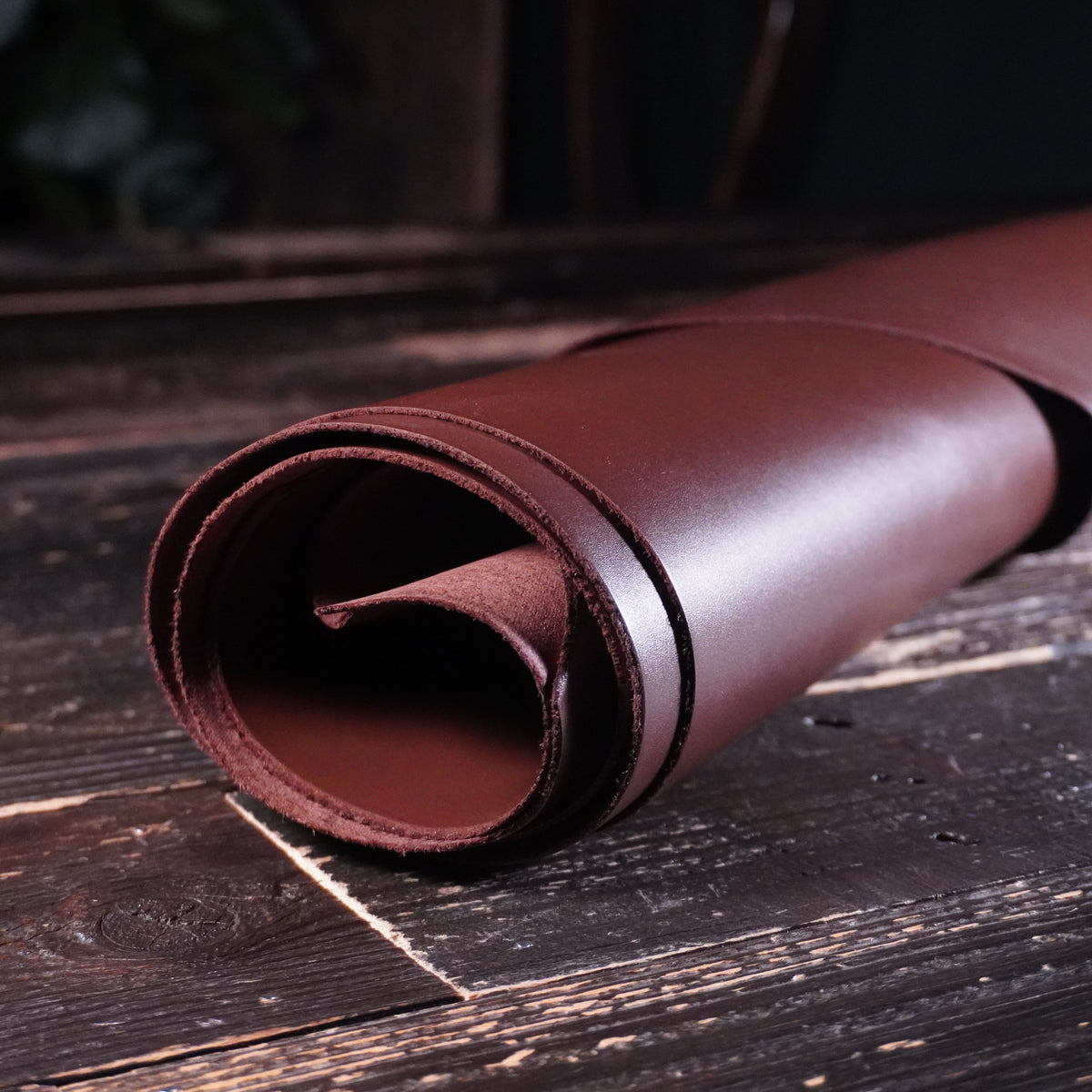 Sepici - Kanat Smooth Brown Nº.20