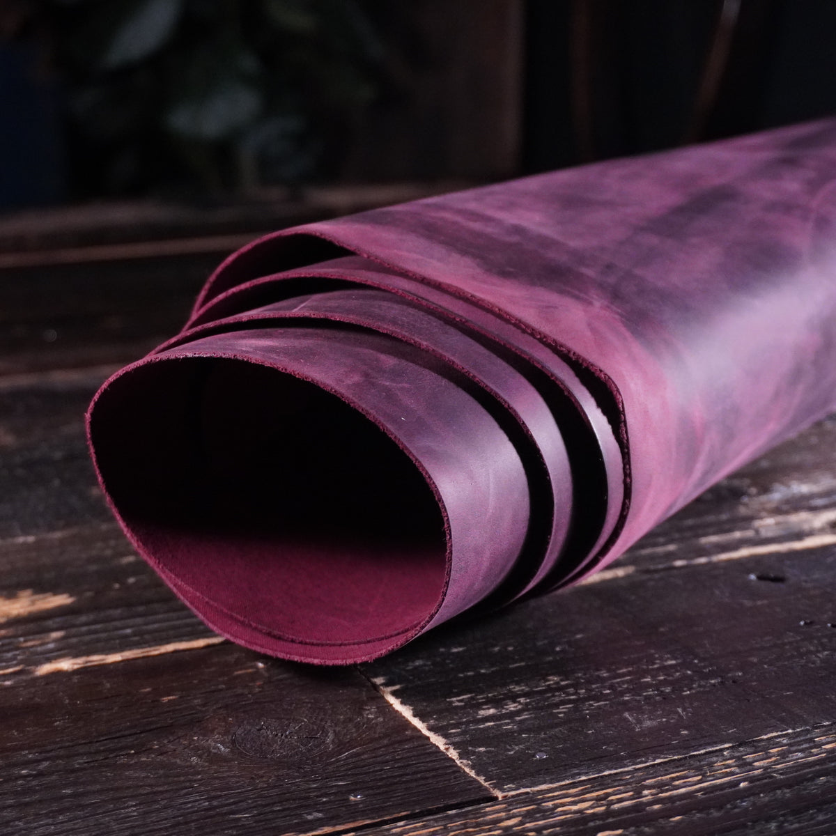 Sepici - York Hybrid Purple Nº.18