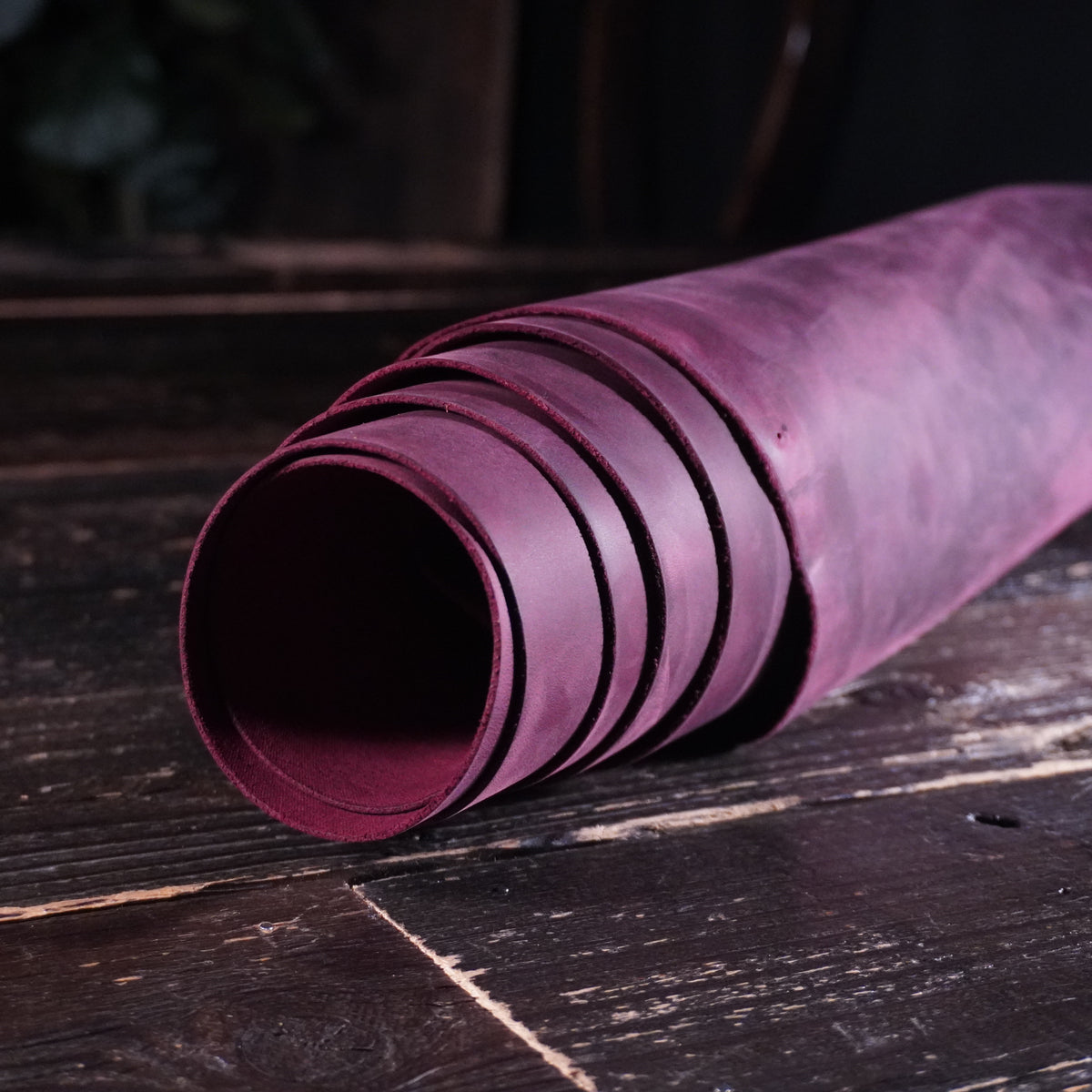 Sepici - York Hybrid Purple Nº.19