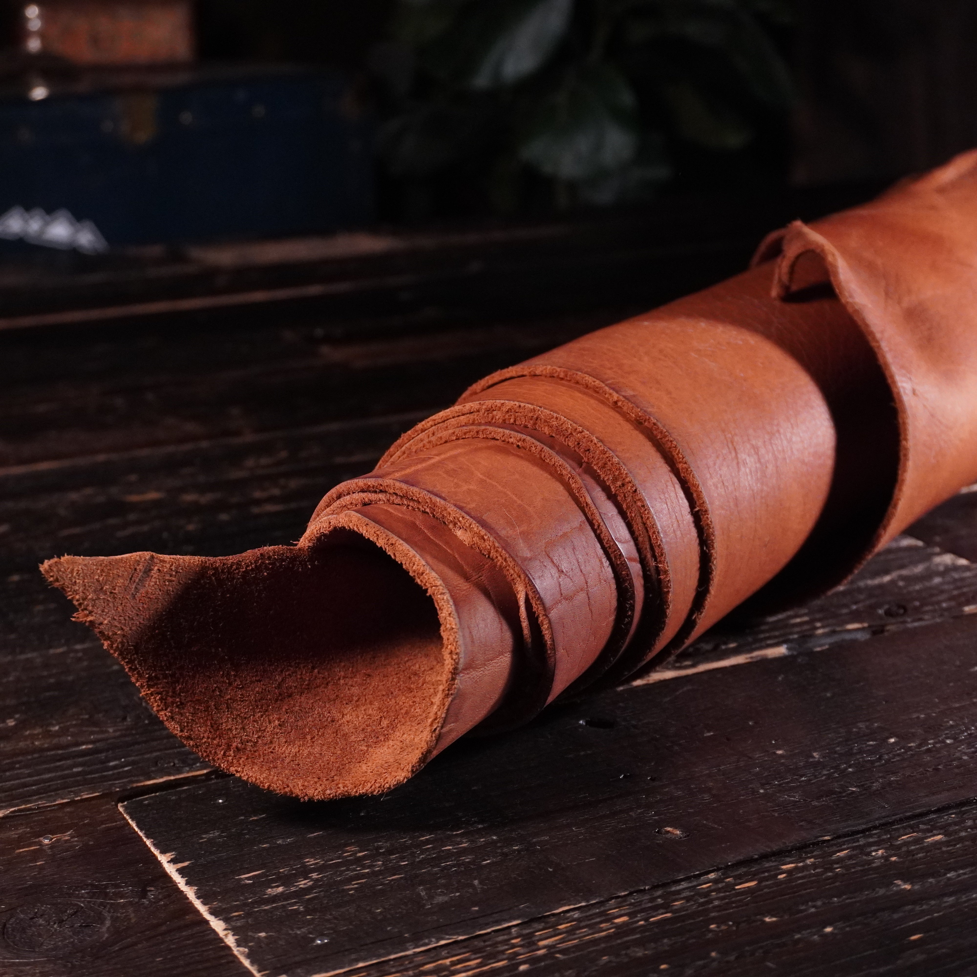 Seidel - Rugged Bison Nº.7