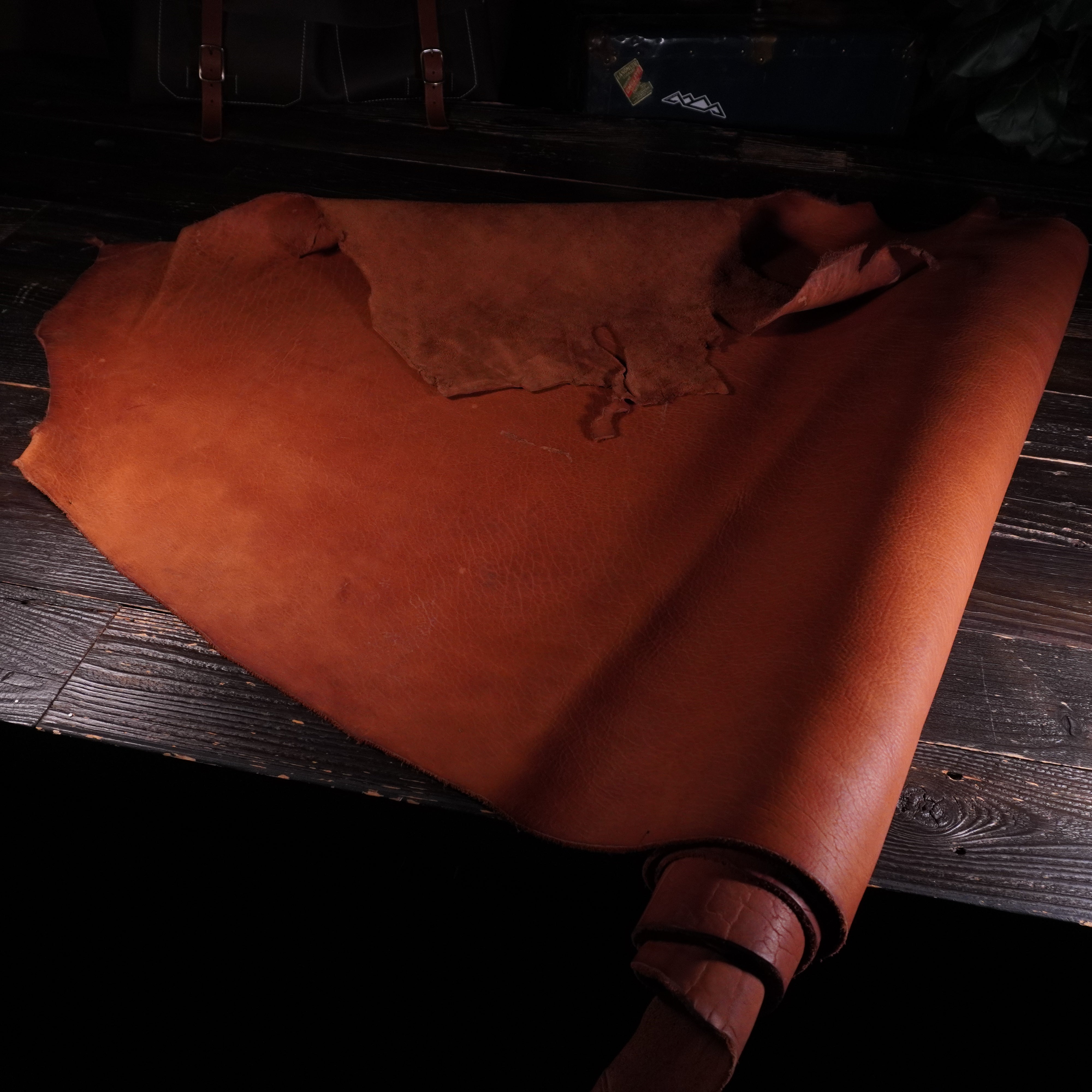 Seidel - Rugged Bison Nº.7