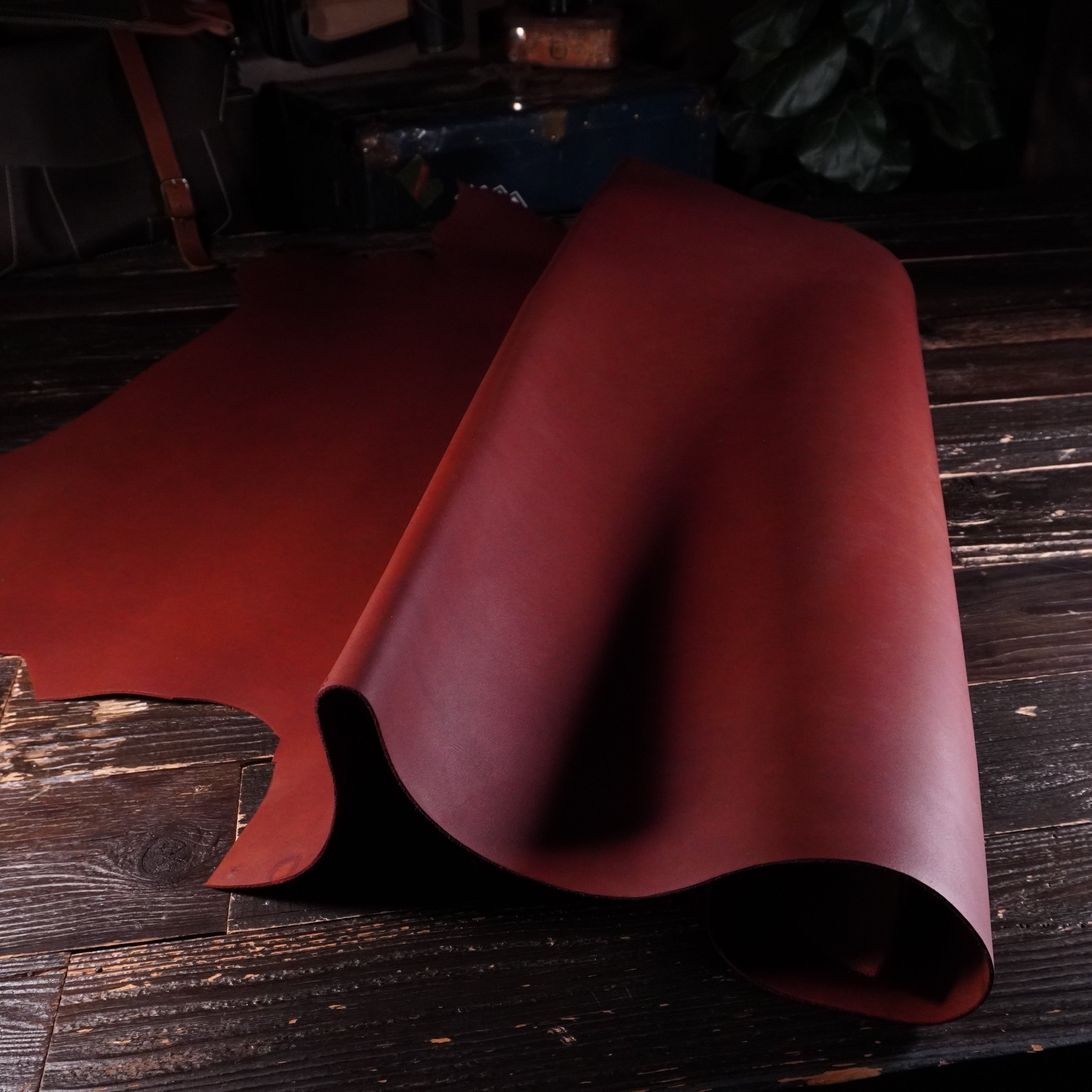 Seidel - Red Brown Nº.6