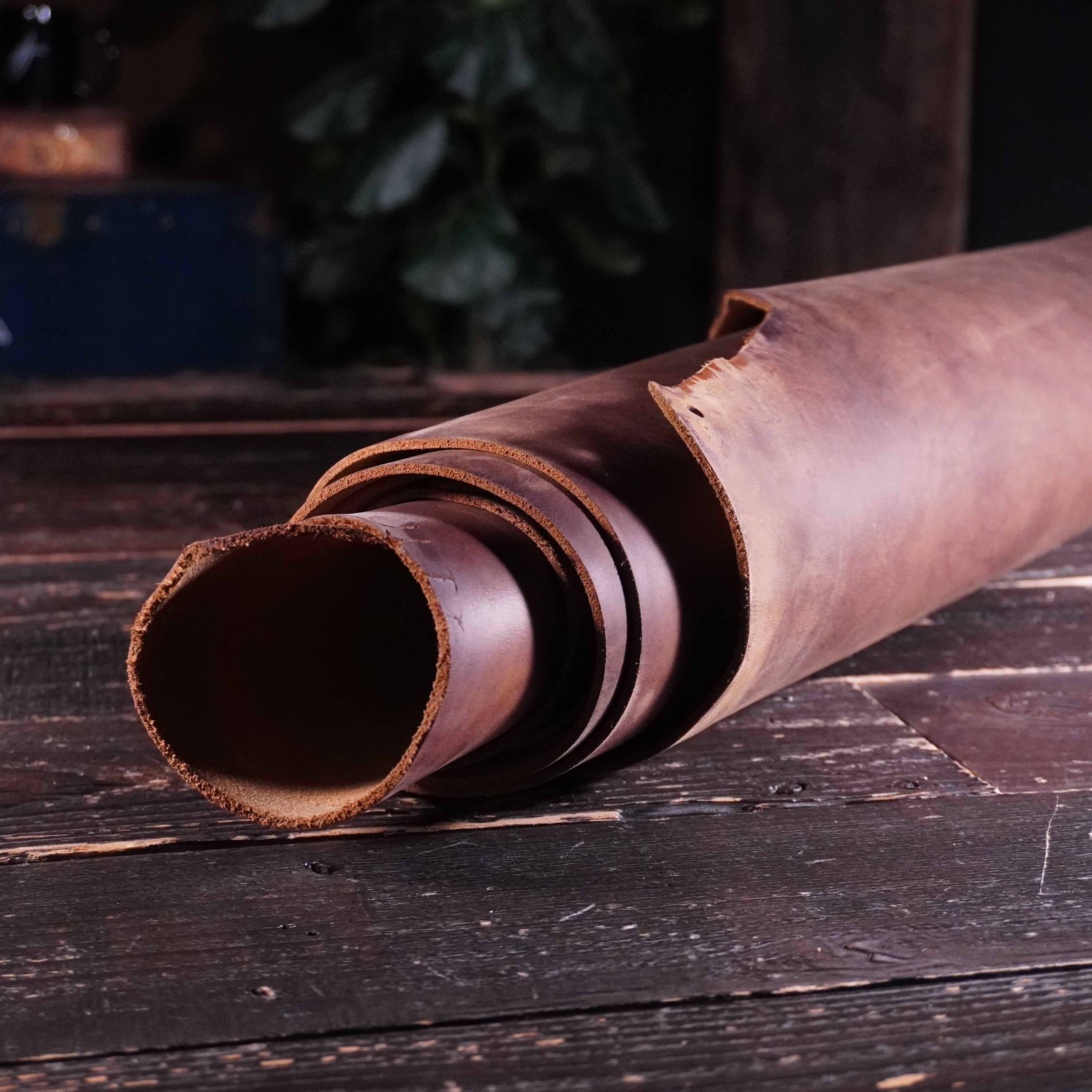 Horween - Predator Wheat Nº.21