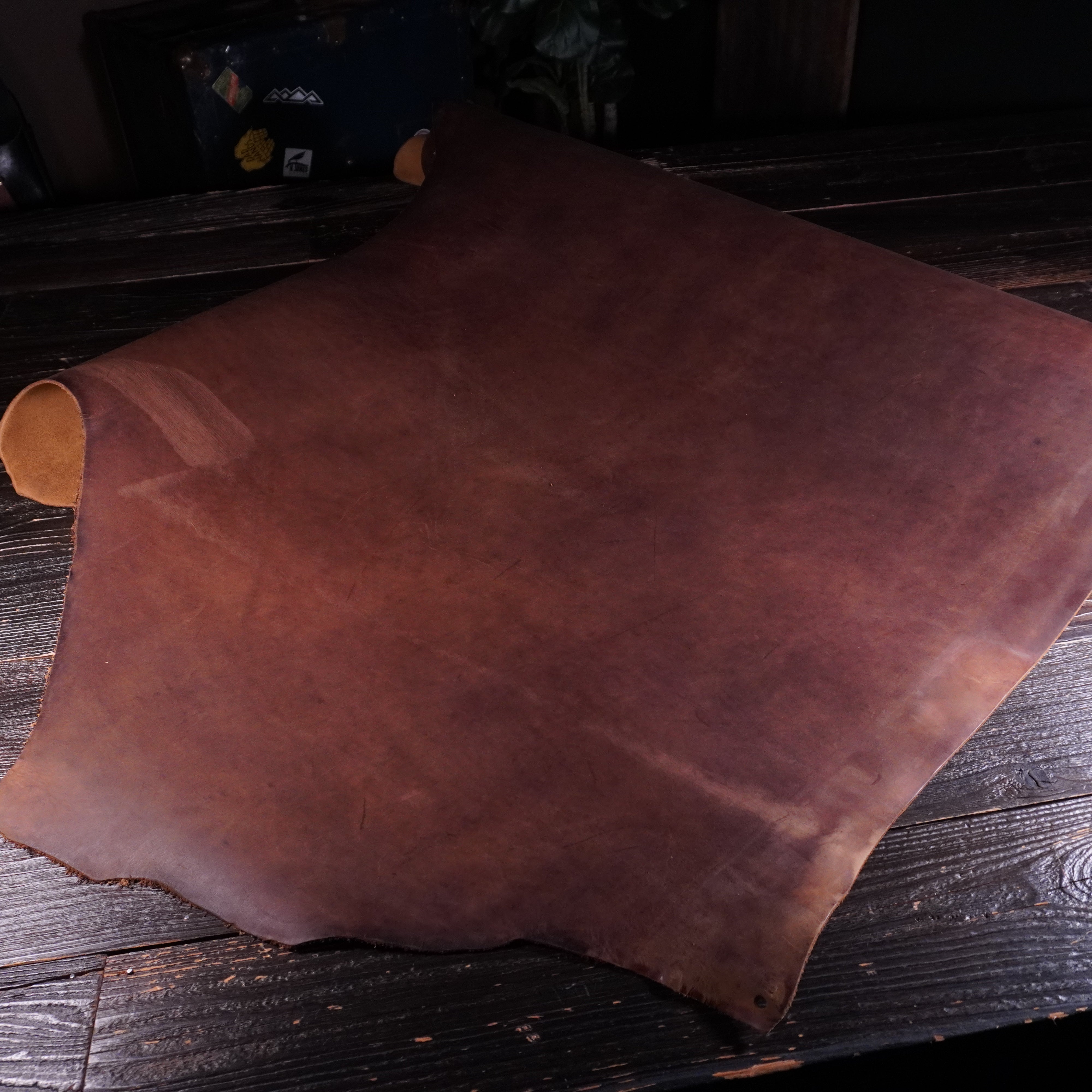 Horween - Predator Wheat Nº.21