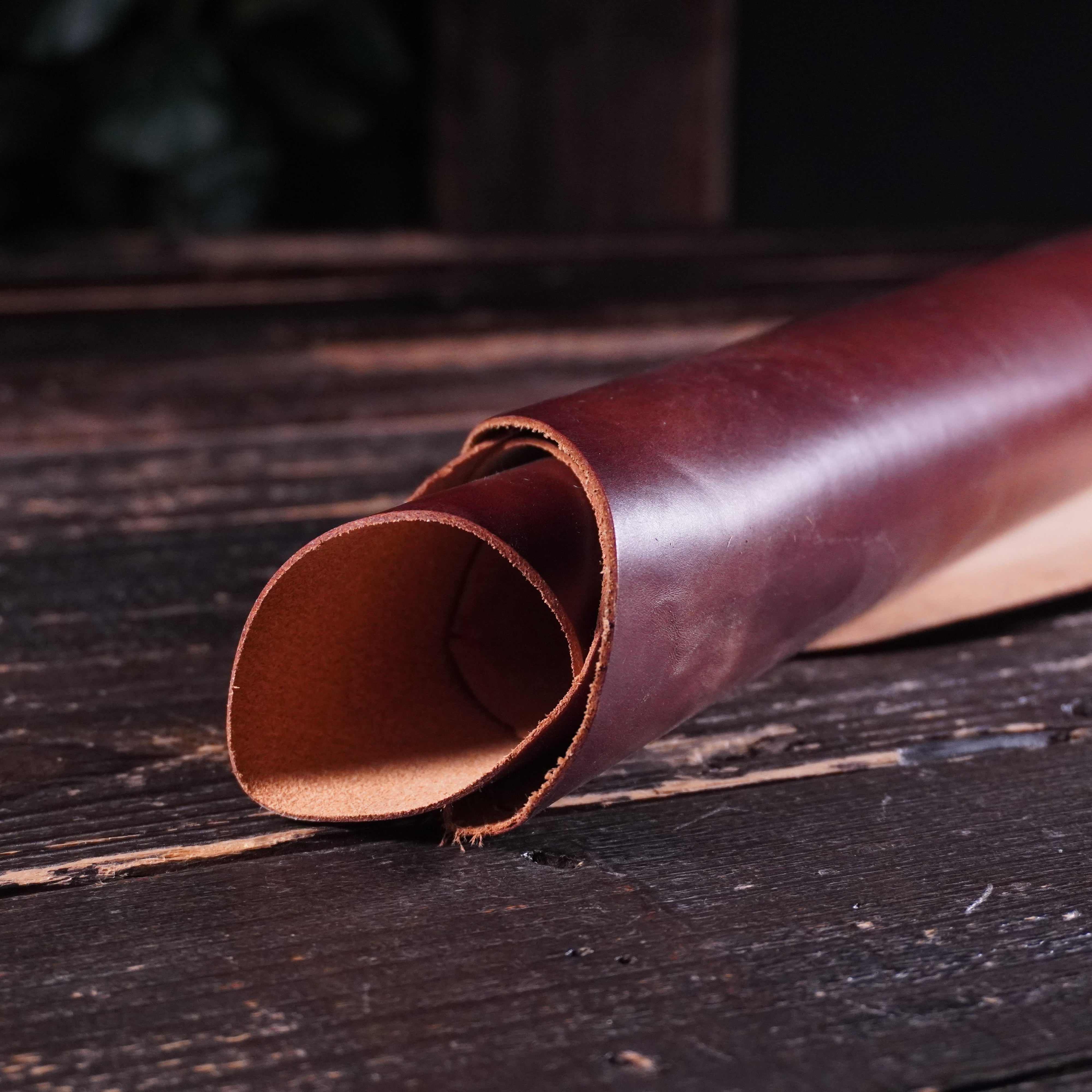 Walpier - Medium Brown Buttero Nº.22