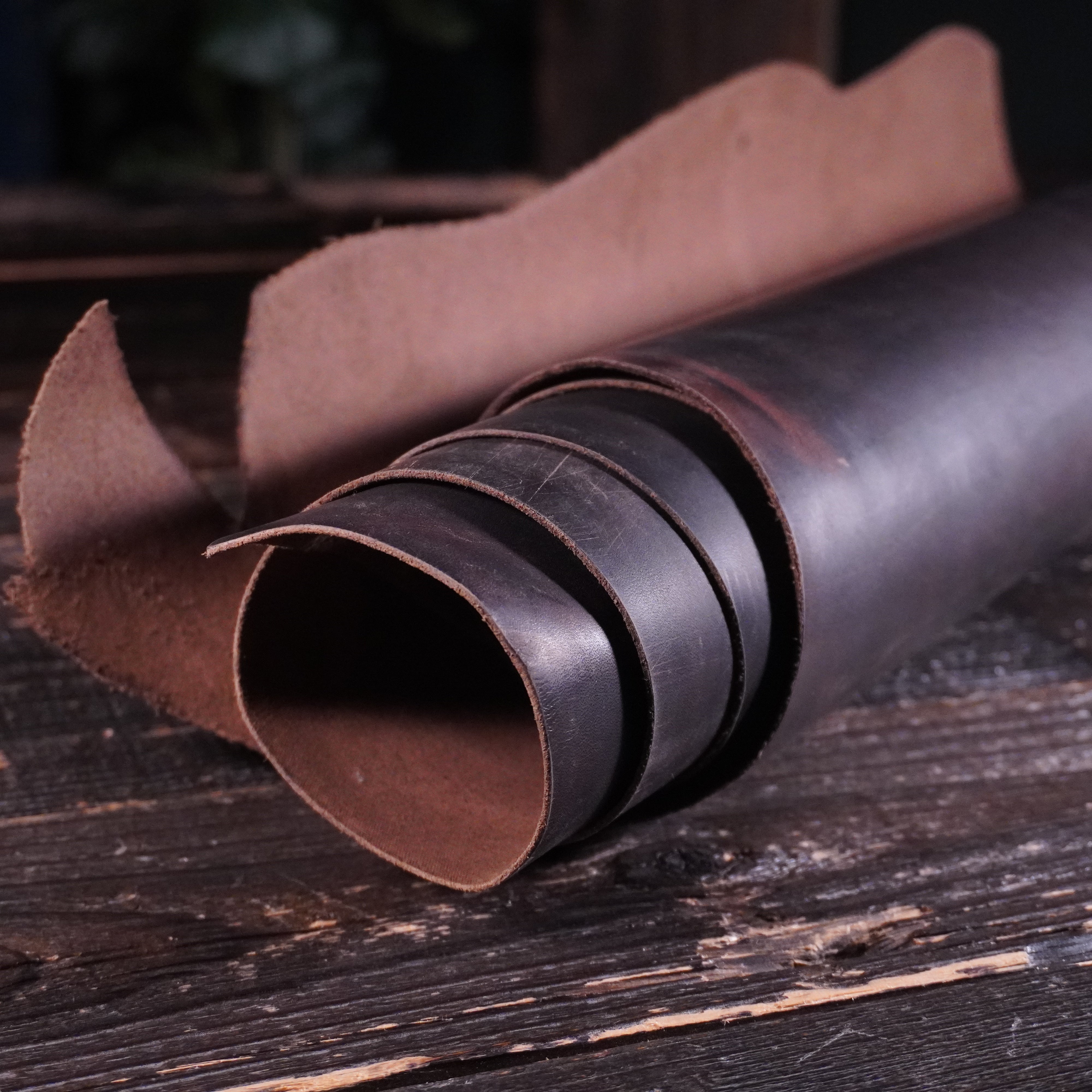 Sepici - Wild Crazy Chocolate Nº.8