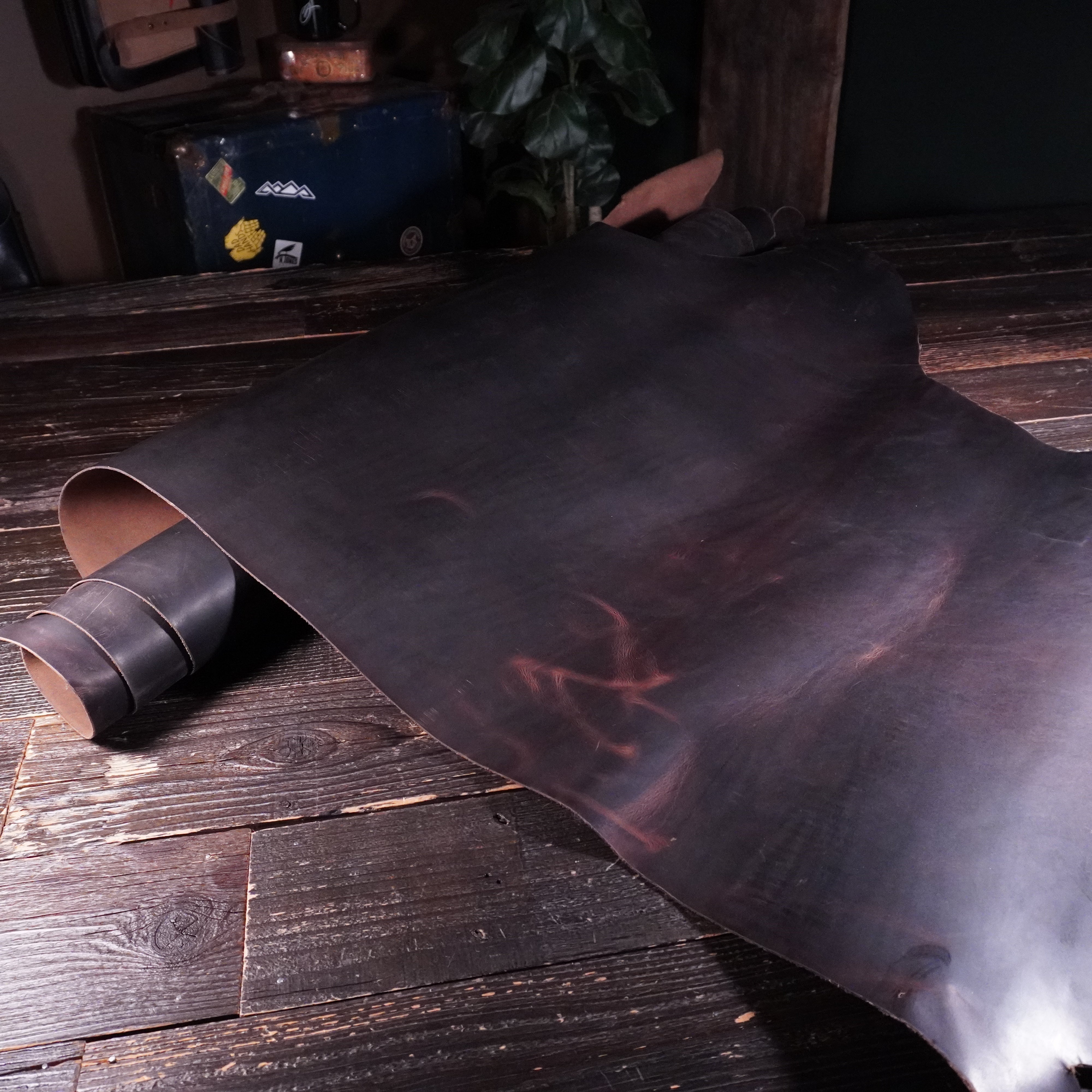 Sepici - Wild Crazy Chocolate Nº.8