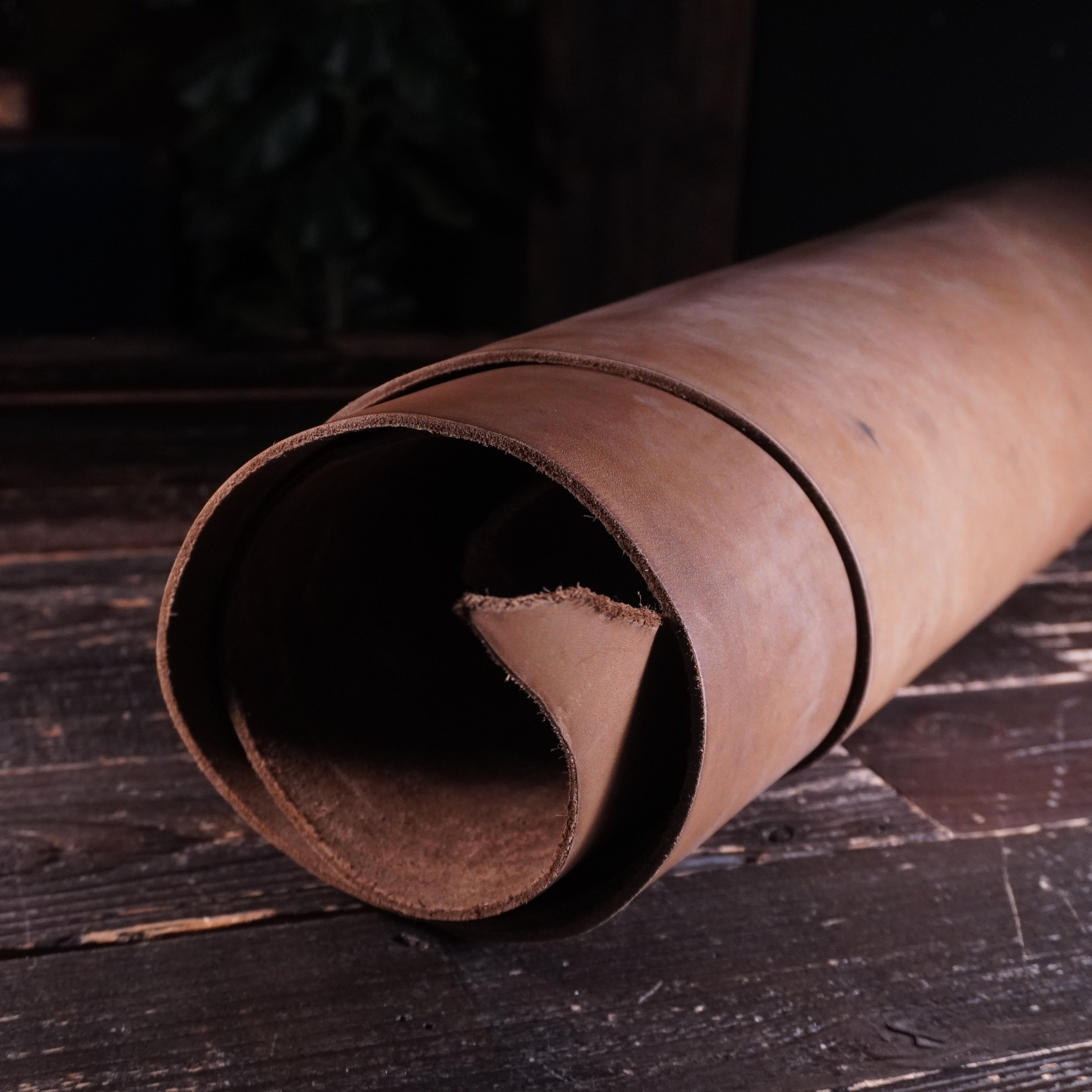 S.B. Foot - Misc. Nº.12