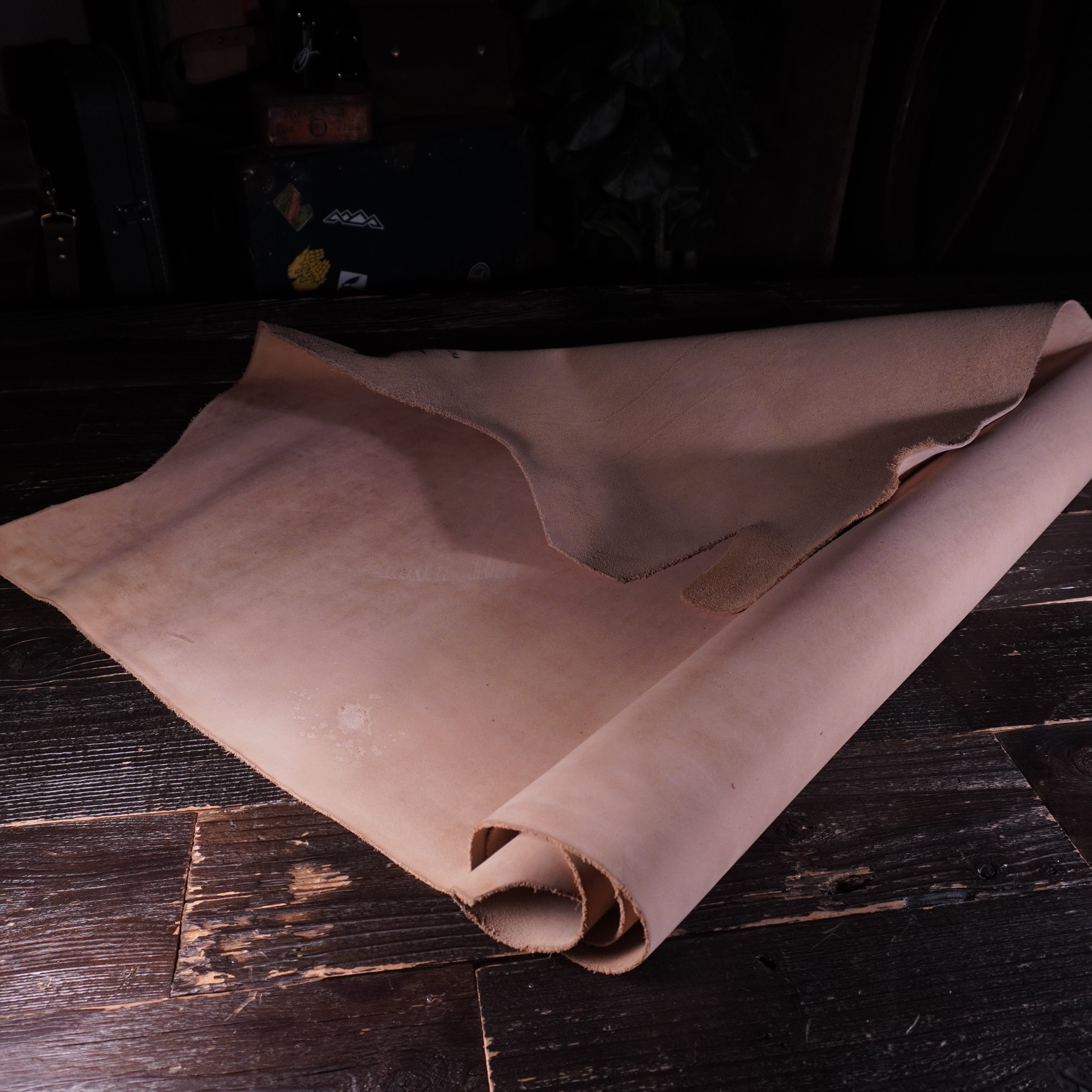 Horween - Suede Mo Dess Nº.16