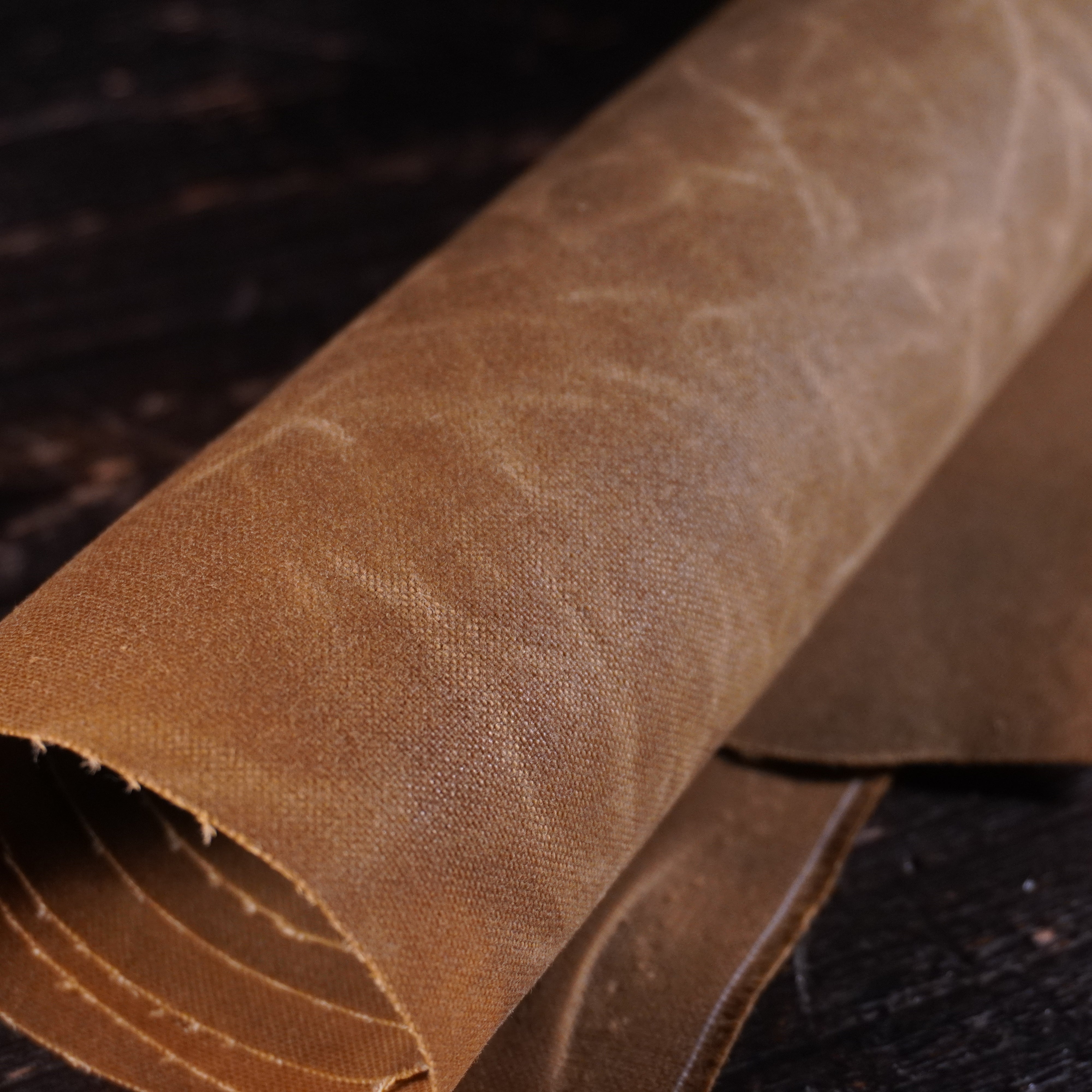 Halley Stevenson - Waxed Canvas Nº.11