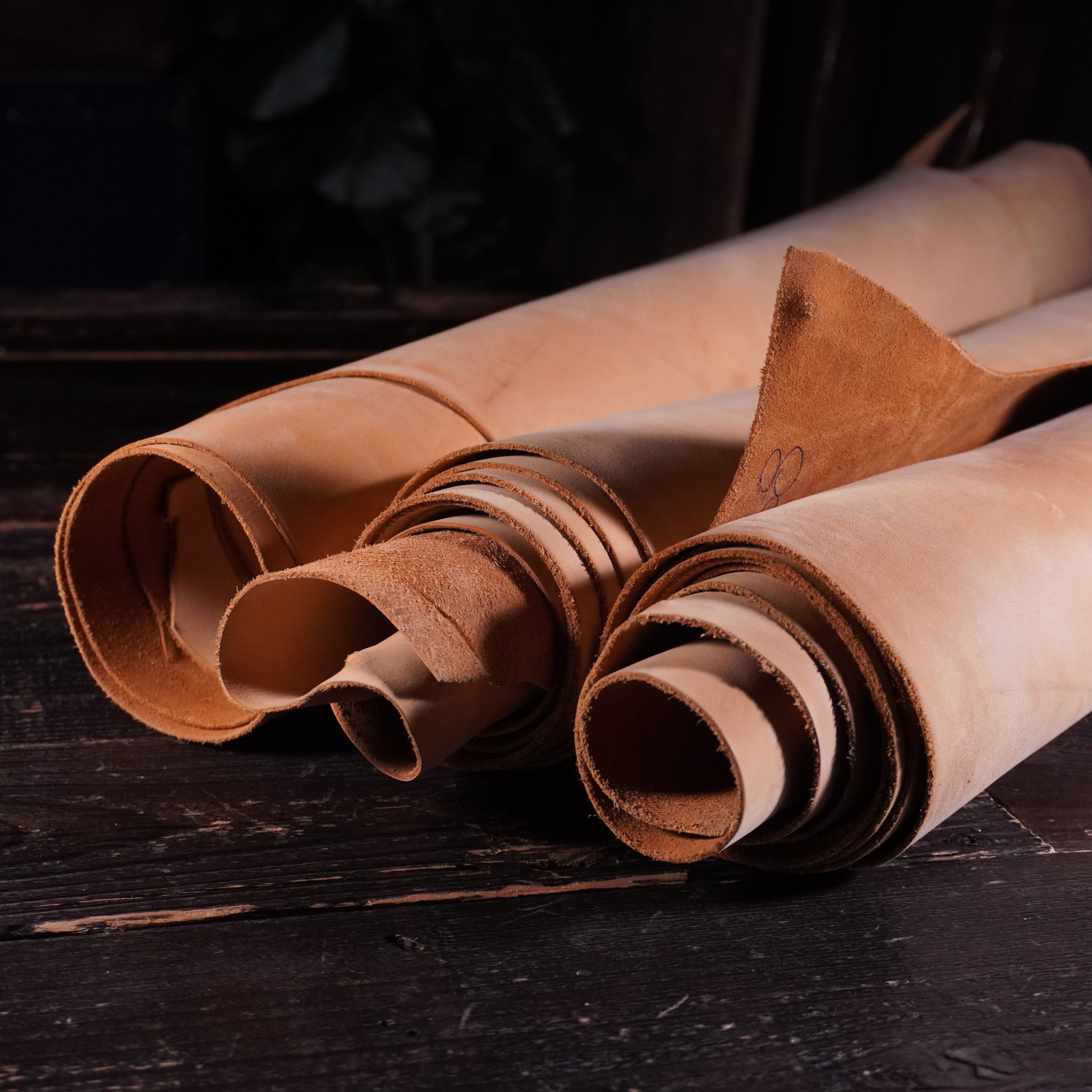 Horween - Bo Suede Nº.14