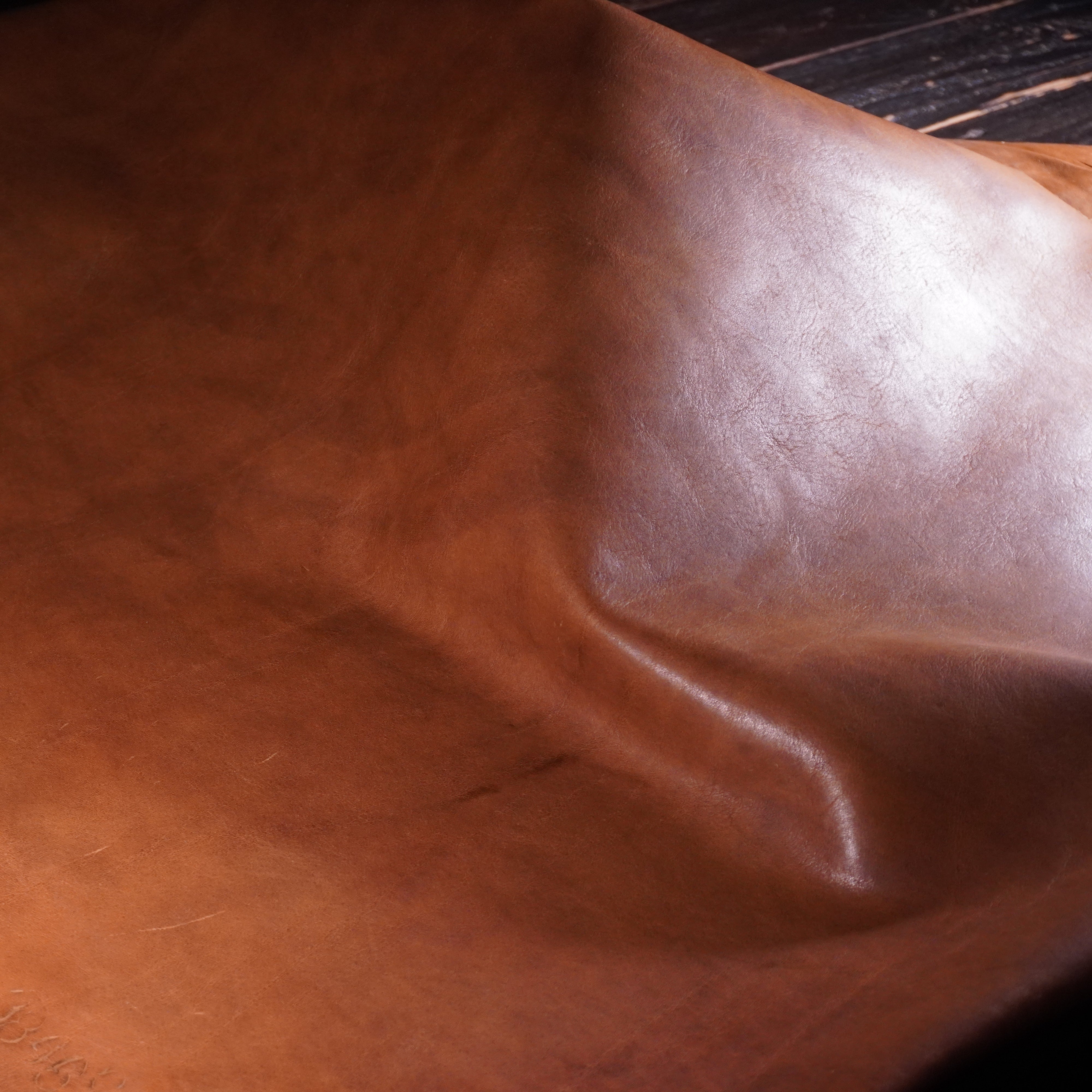 Horween - Trad Brown Nº.5