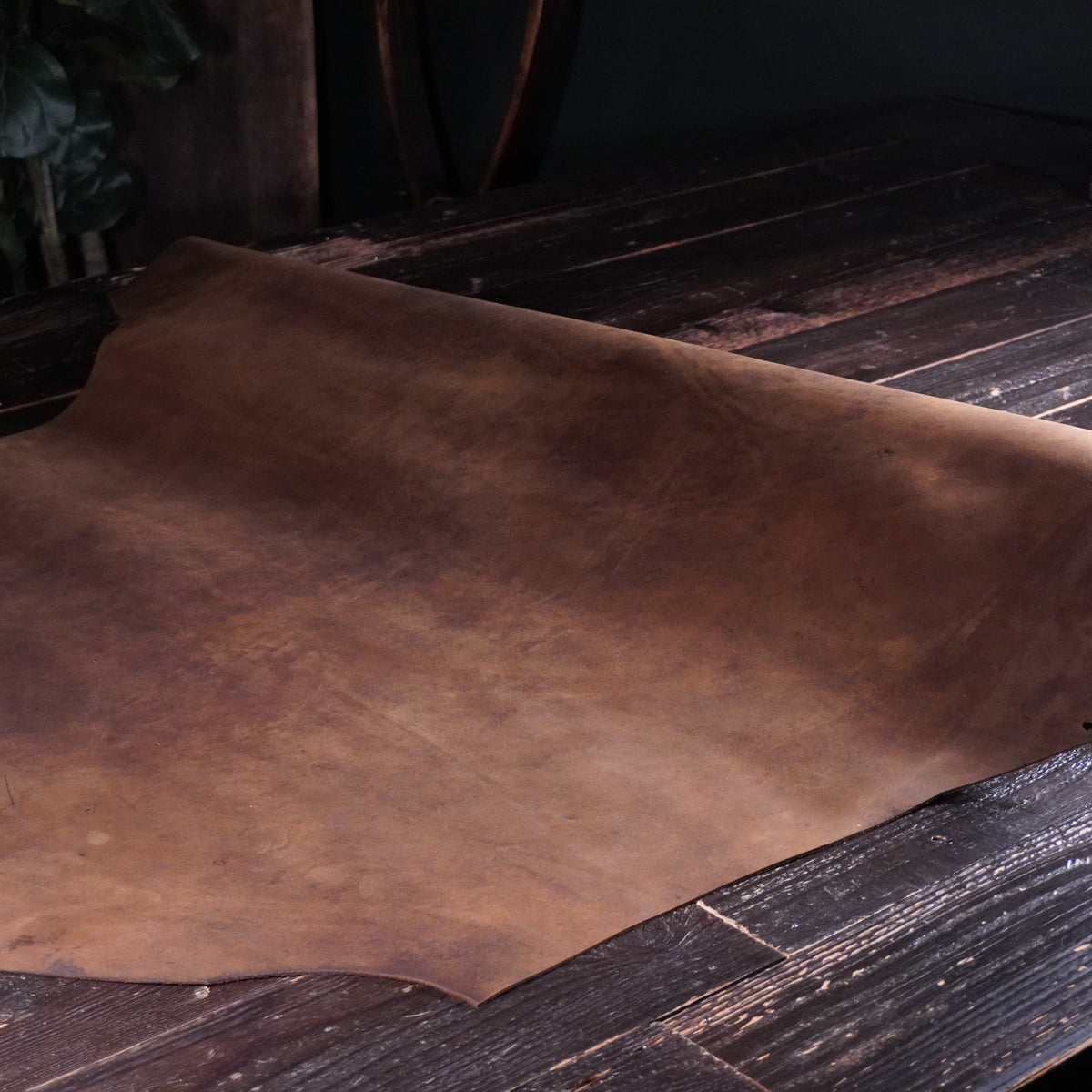 Horween - Spindal Newbuck Nº.12