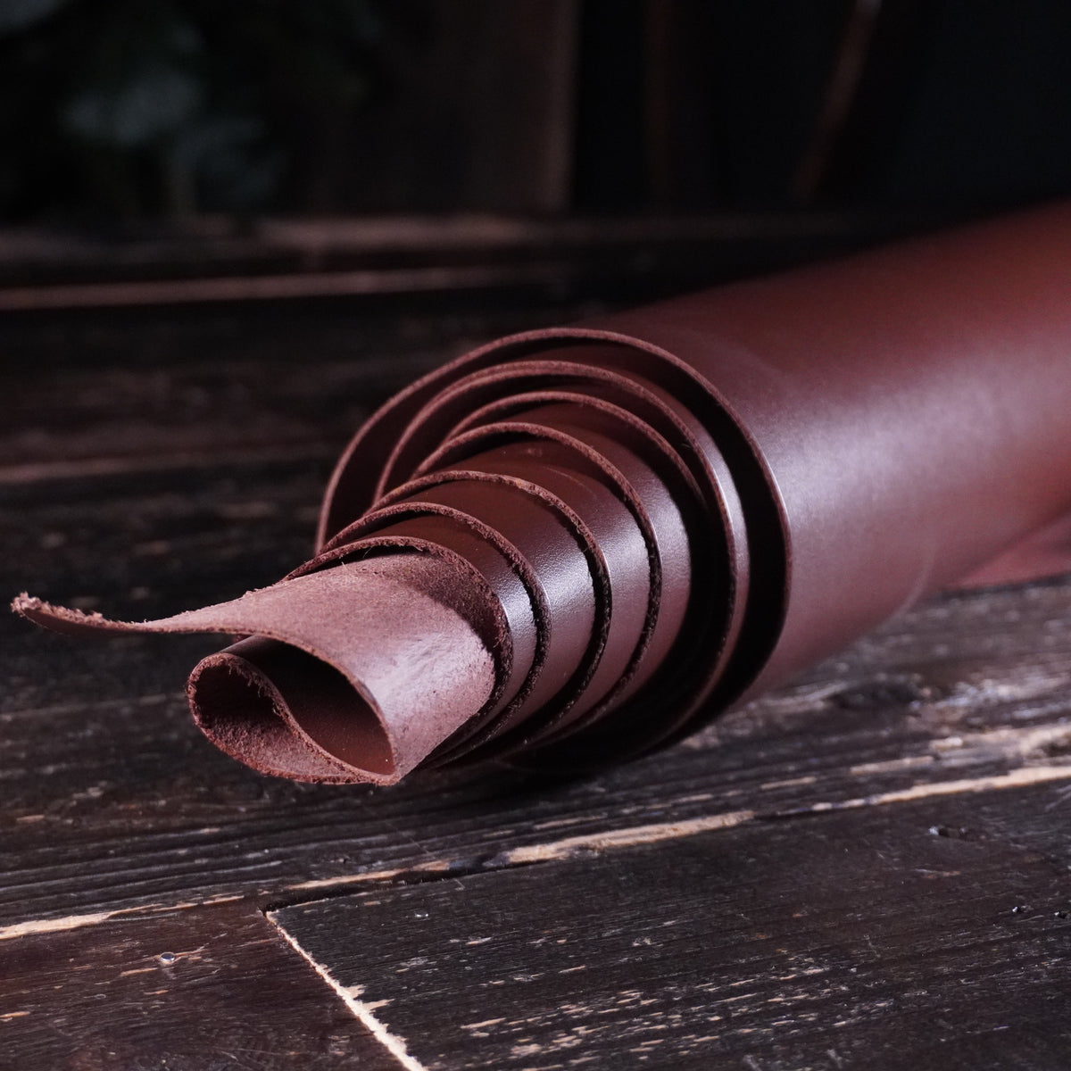 Sepici - Kanat Dark Brown Nº.19