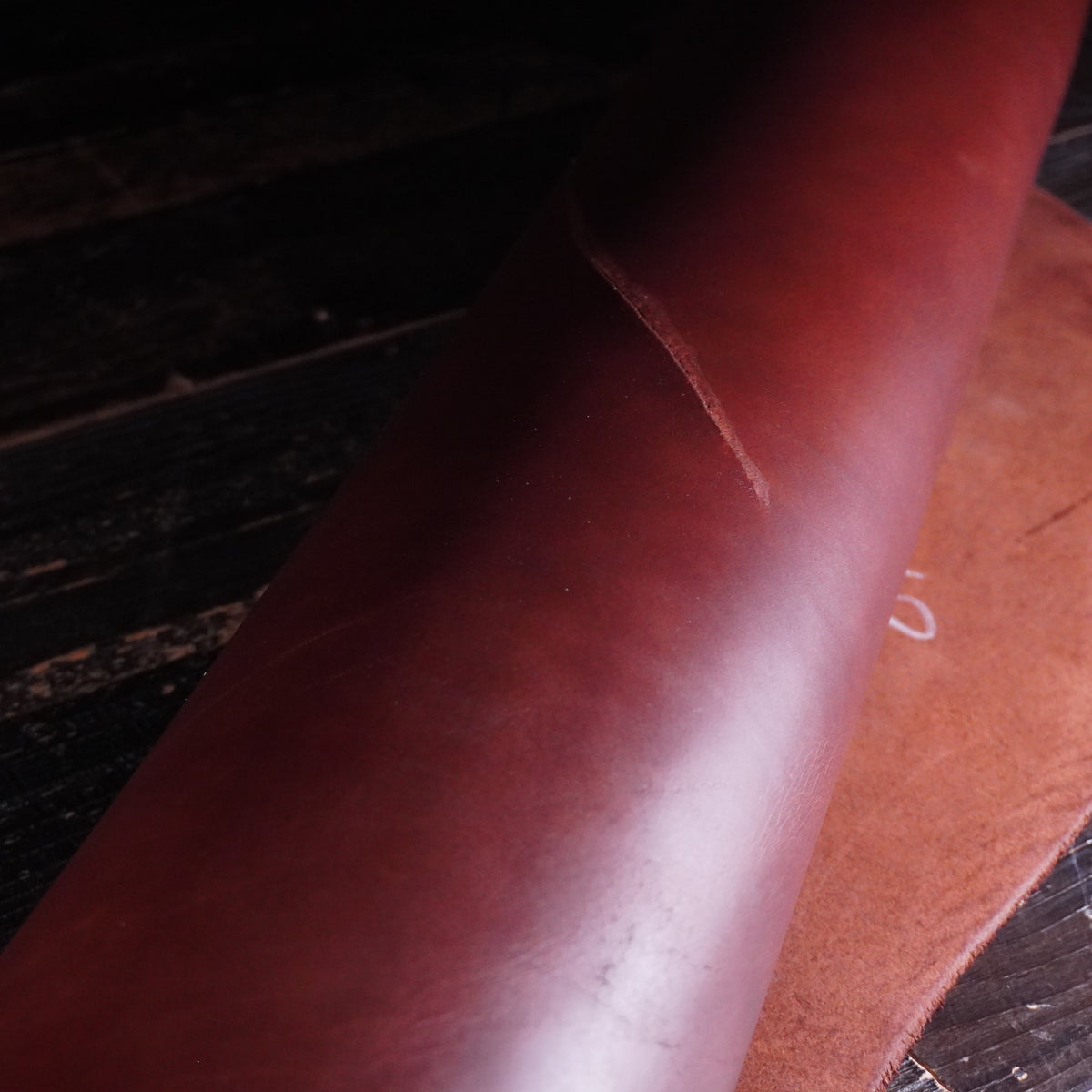 Sepici - Brown Bend Nº.15