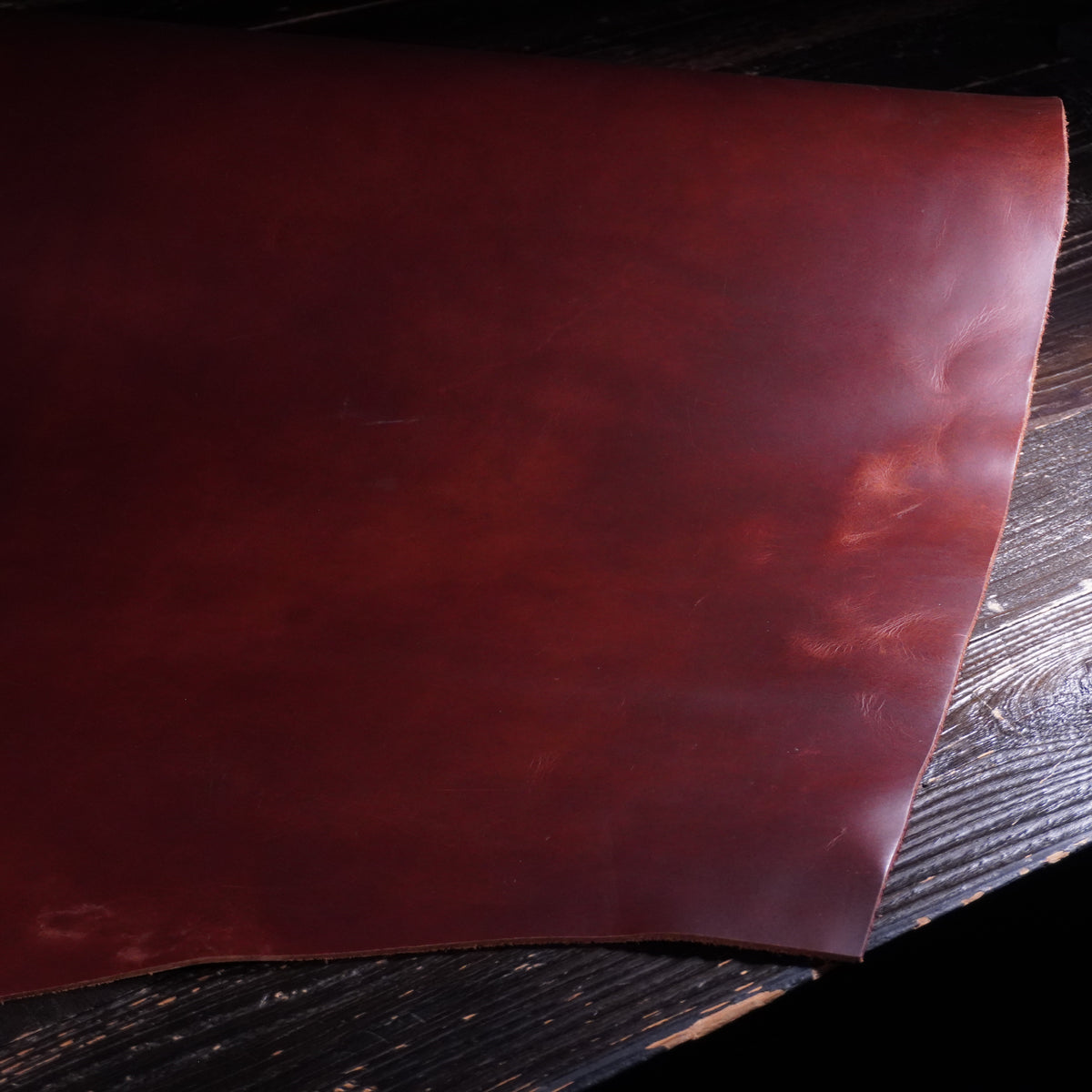 Sepici - Brown Bend Nº.15