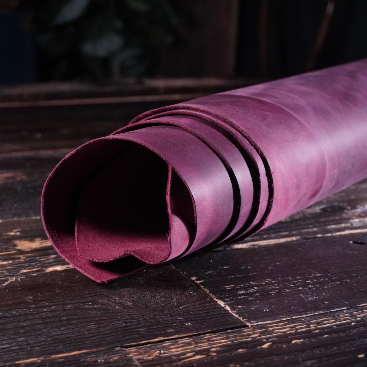 Sepici - York Hybrid Purple Nº.17