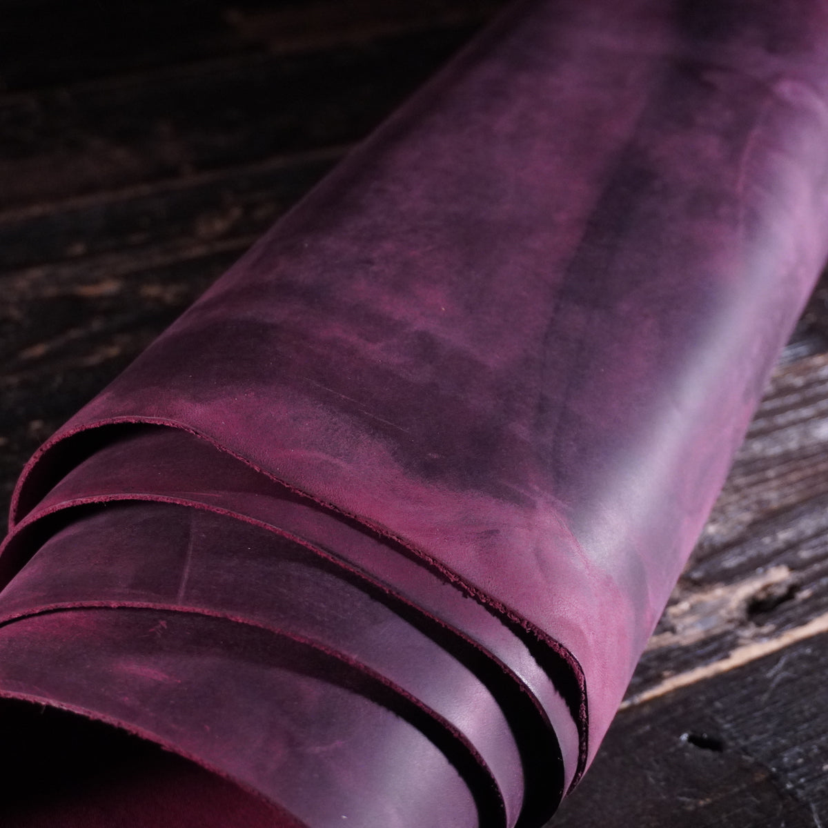 Sepici - York Hybrid Purple Nº.18