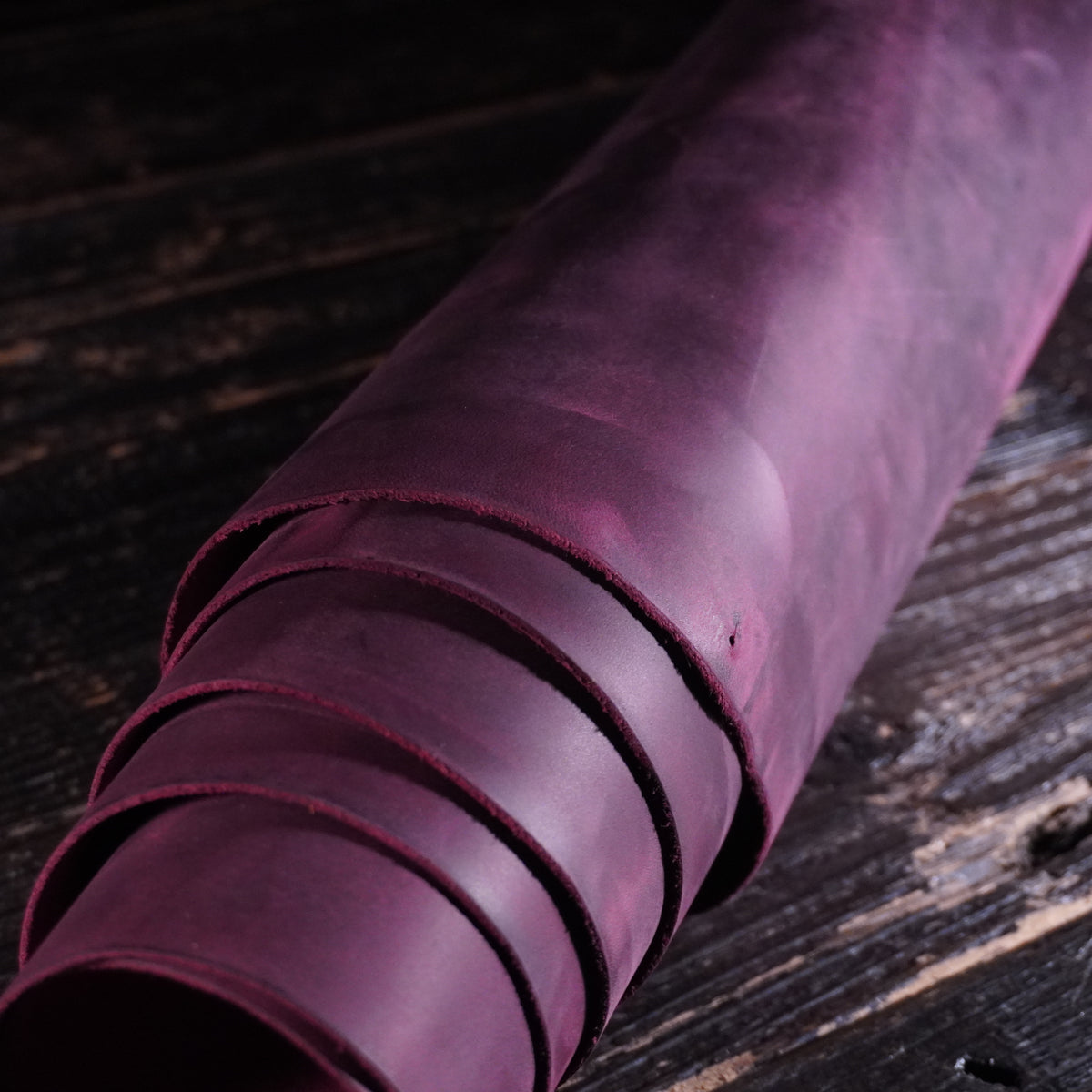 Sepici - York Hybrid Purple Nº.19