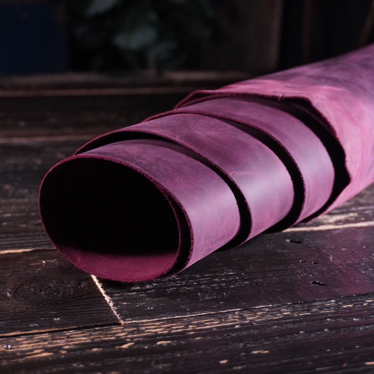 Sepici - York Hybrid Purple Nº.20