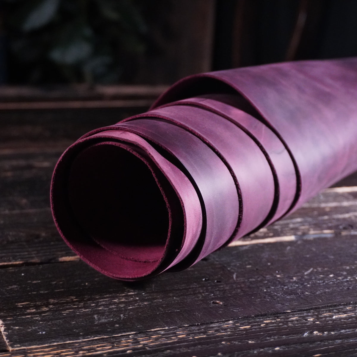 Sepici - York Hybrid Purple Nº.21