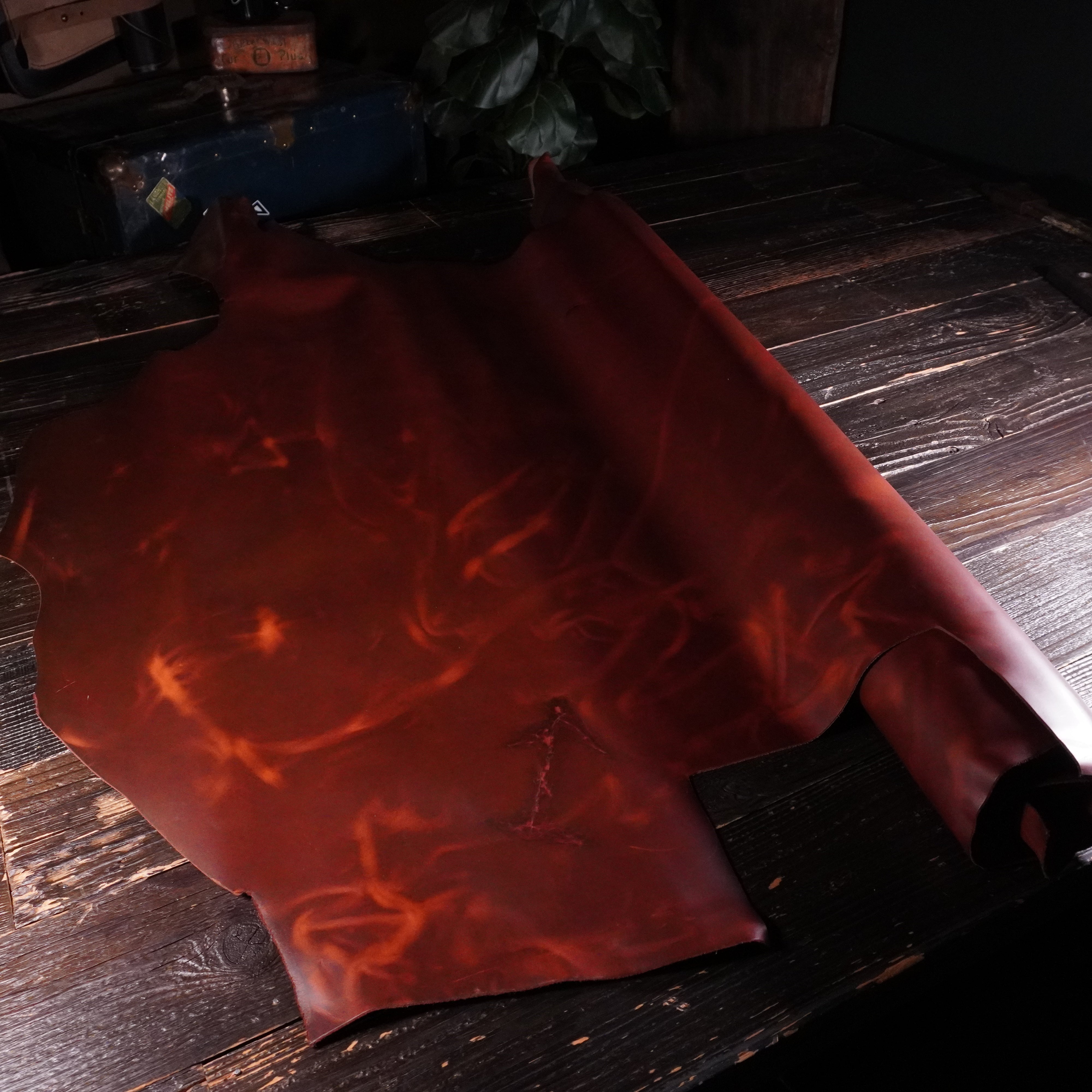 Lefarc - Wild Panther Red Brown Nº.4